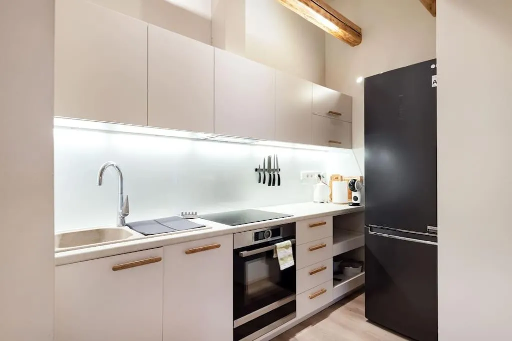 Kitchen or kitchenette in Luxury apartment in Gedimino av.