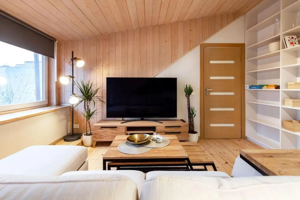 TV and multimedia in Luxury apartment in Gedimino av.