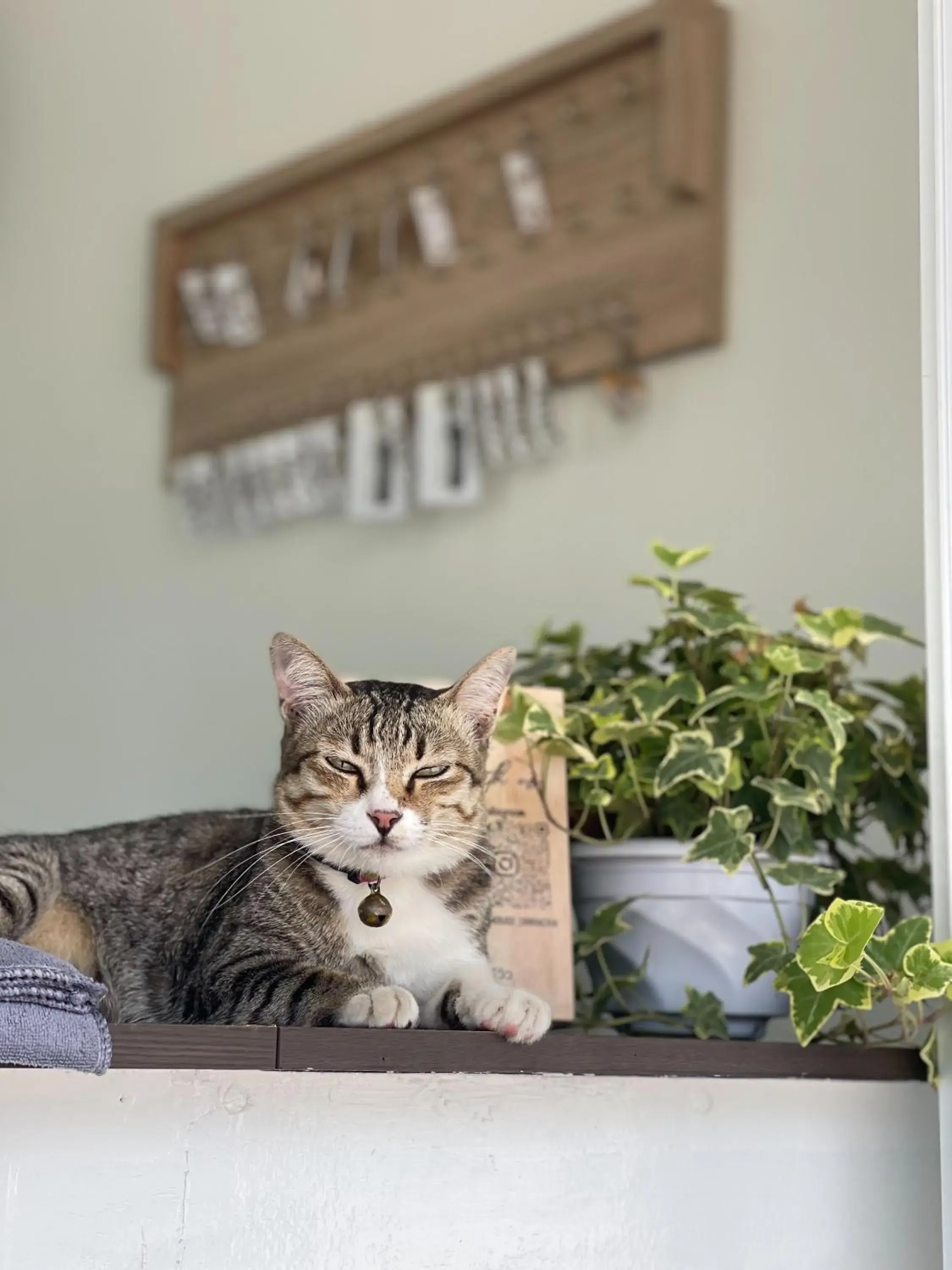 Lobby or reception in Ivory House Sriracha Lobby or reception in Ivory House Sriracha