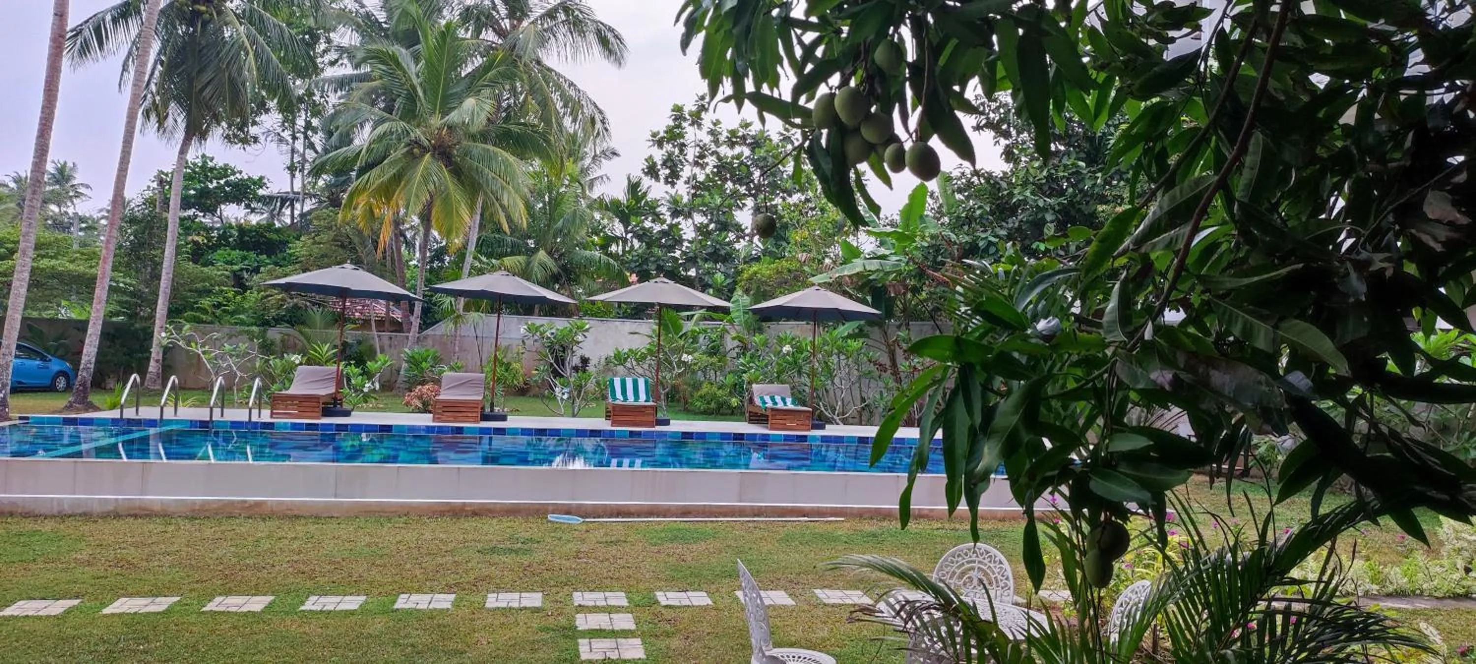 Swimming pool in Mango Tree Villa Bentota