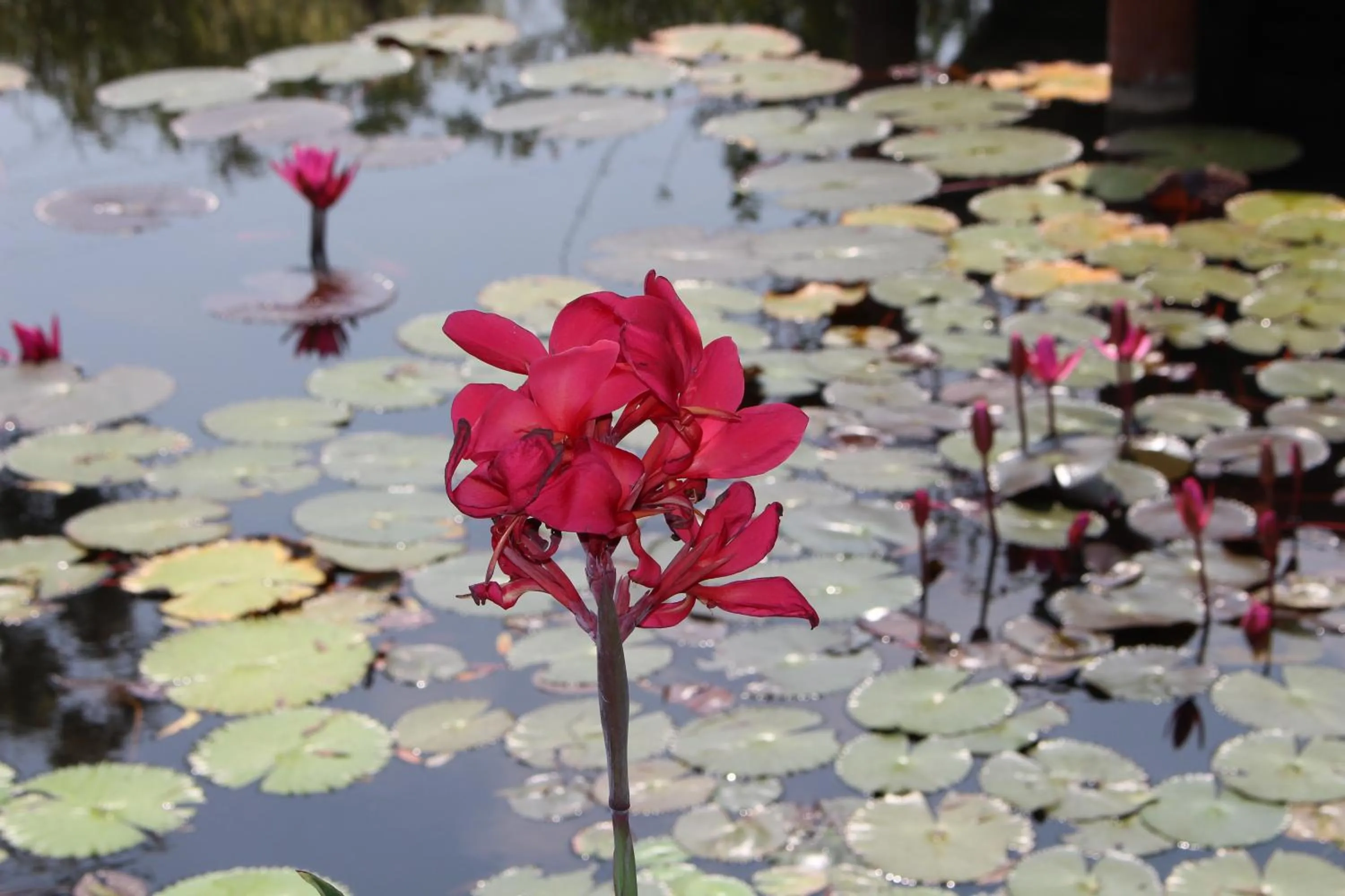 Facade/entrance in Baan Suan Mulberry Farmstay