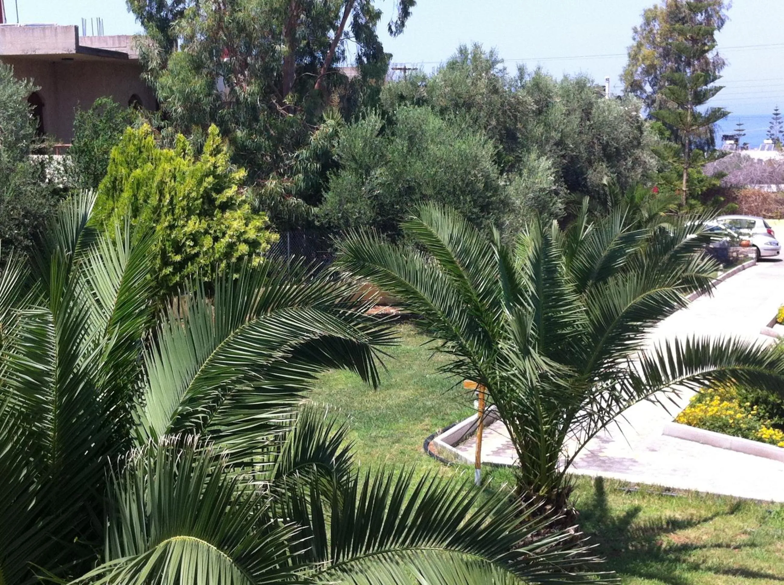 Garden in Angelika Apartotel