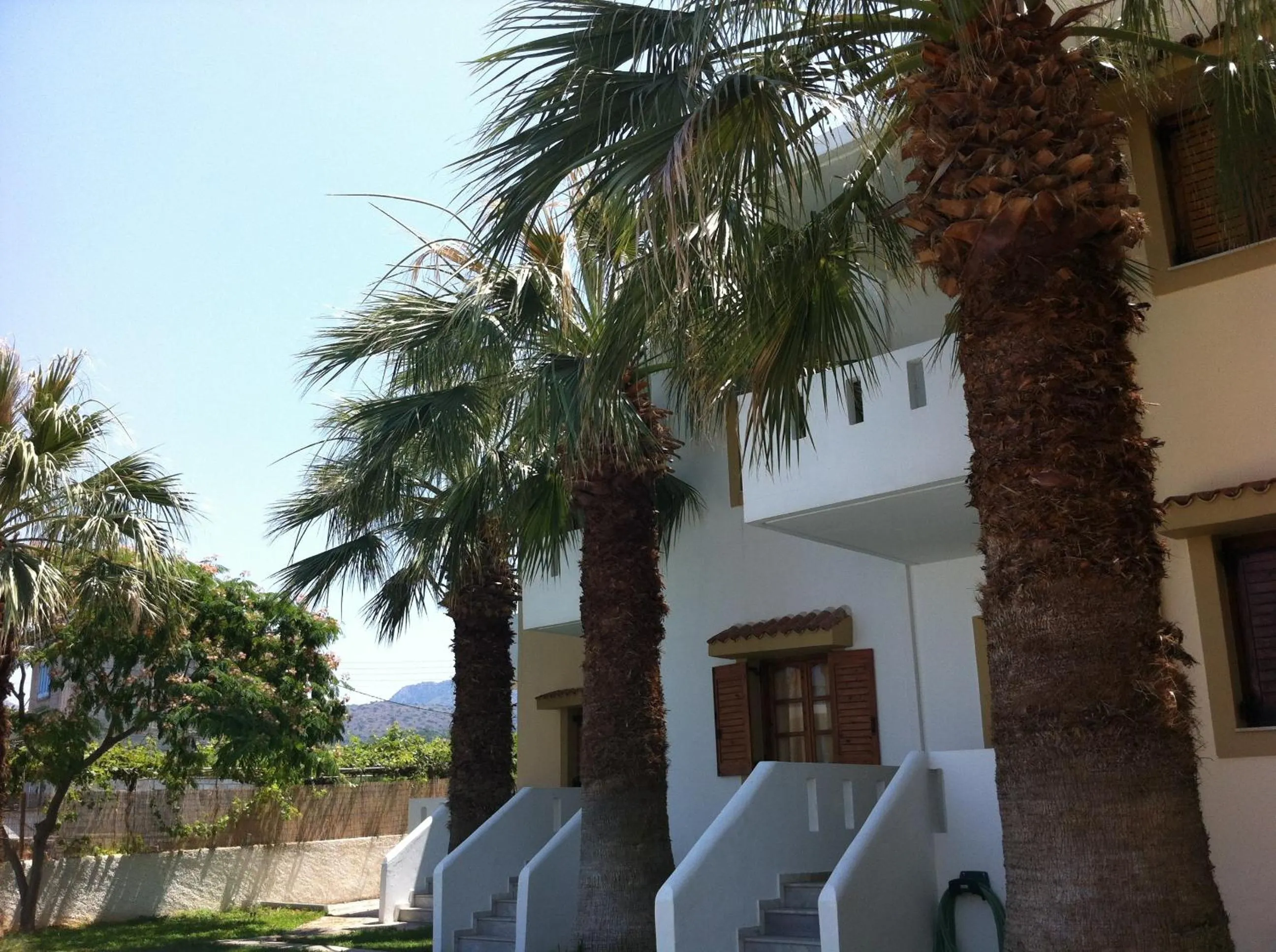 Property building in Angelika Apartotel