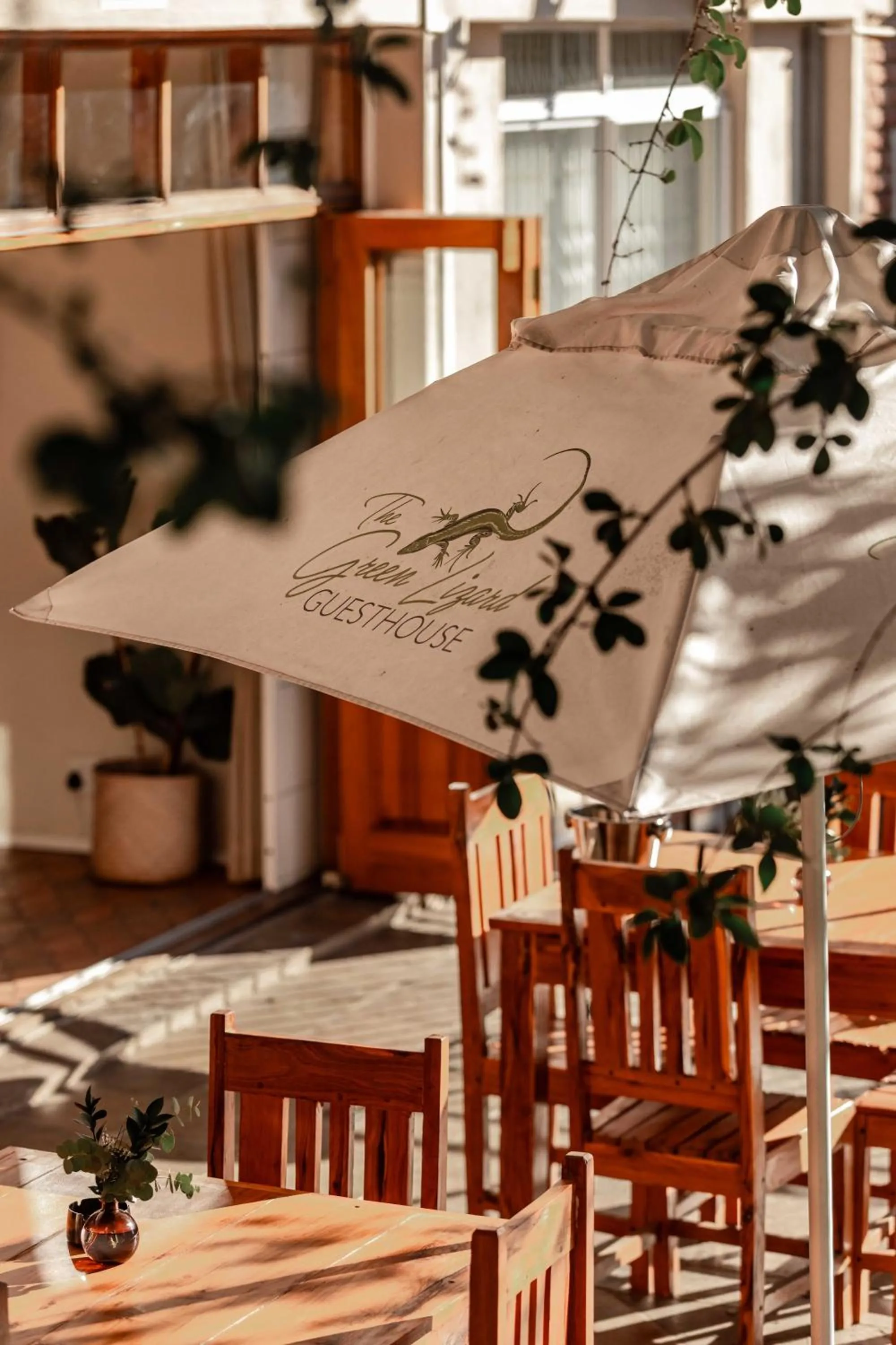 Restaurant/places to eat in The Green Lizard Guesthouse