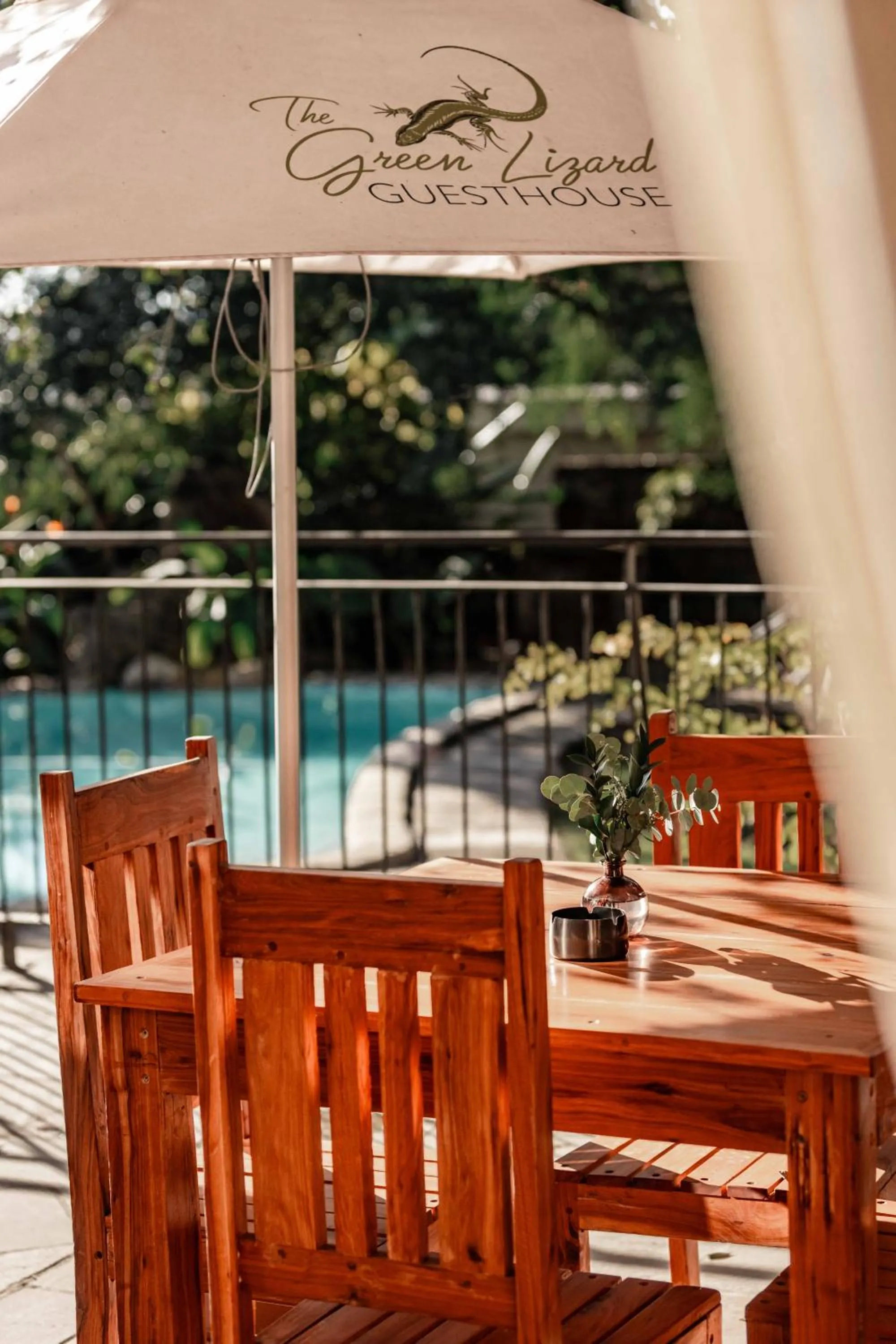 Pool view in The Green Lizard Guesthouse