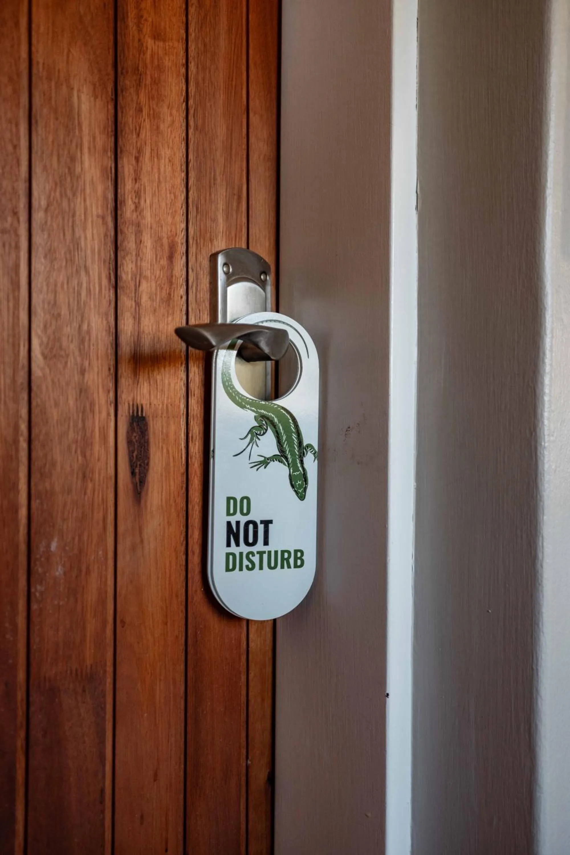 Decorative detail in The Green Lizard Guesthouse