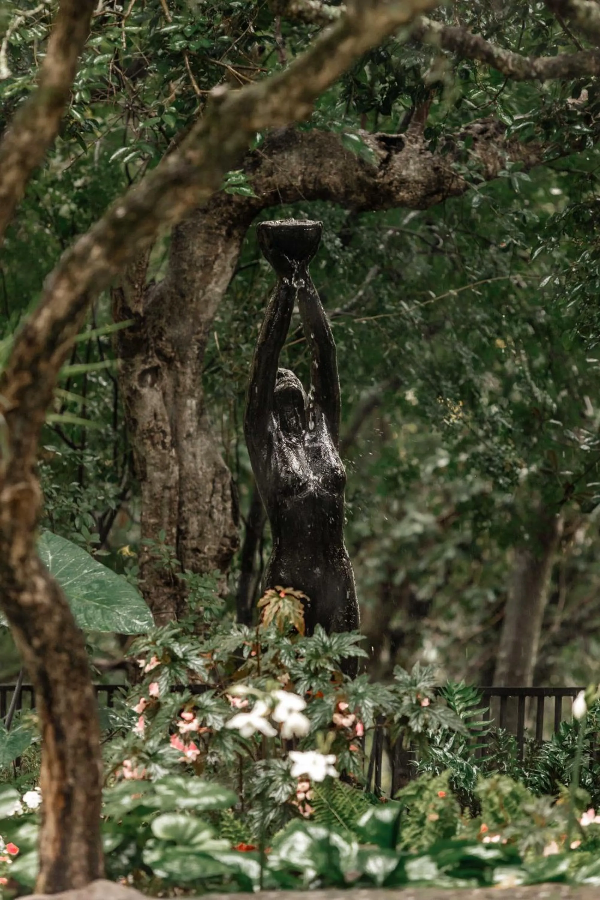 Natural landscape in The Green Lizard Guesthouse