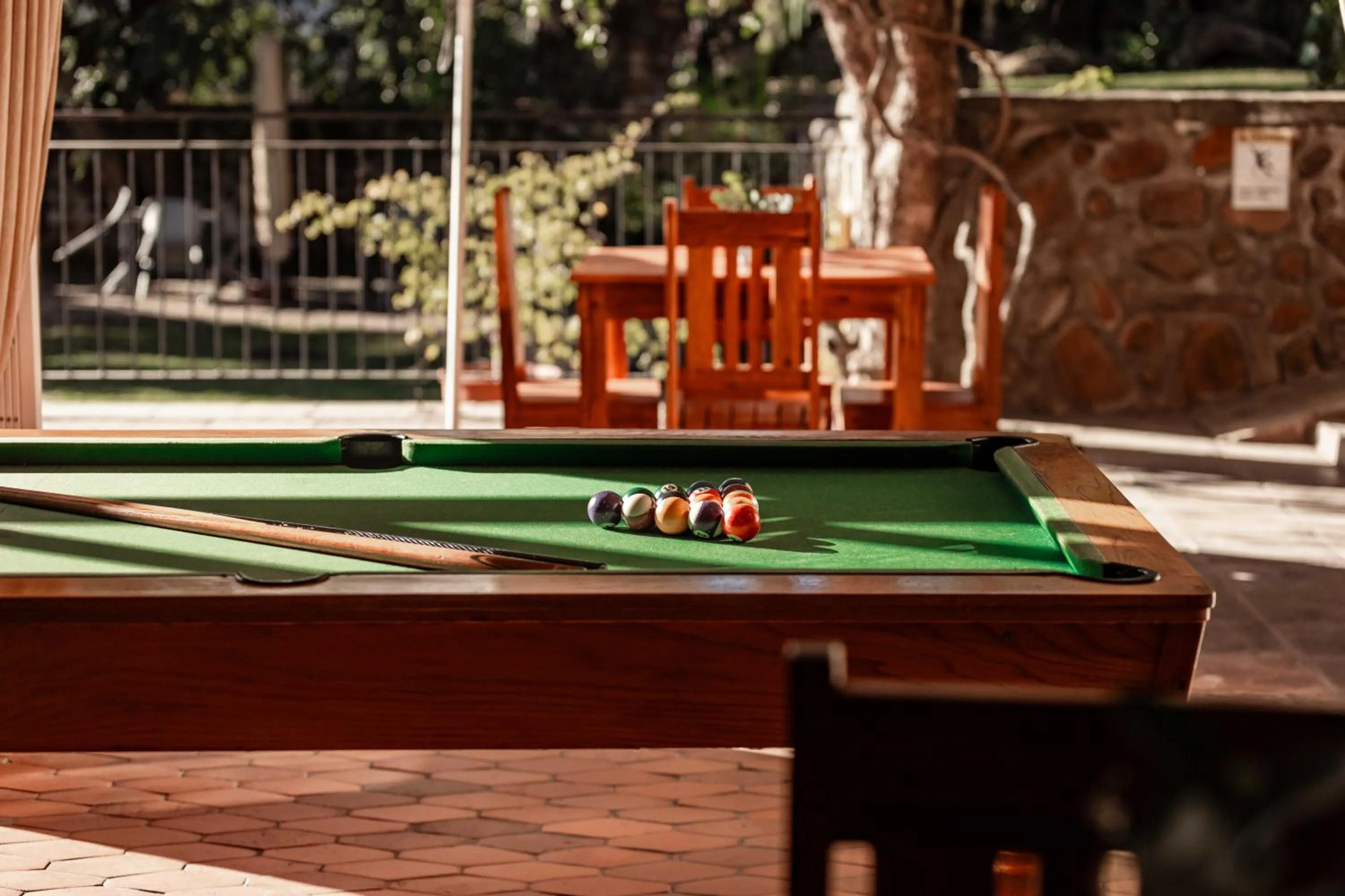 Entertainment in The Green Lizard Guesthouse