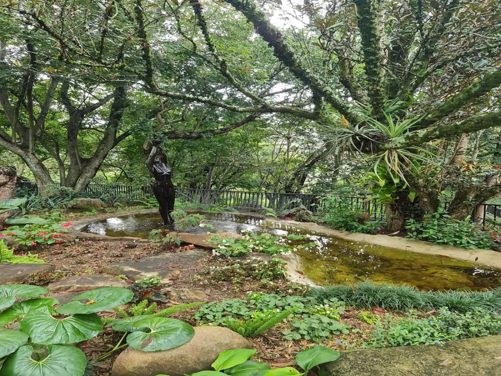 Natural landscape in The Green Lizard Guesthouse