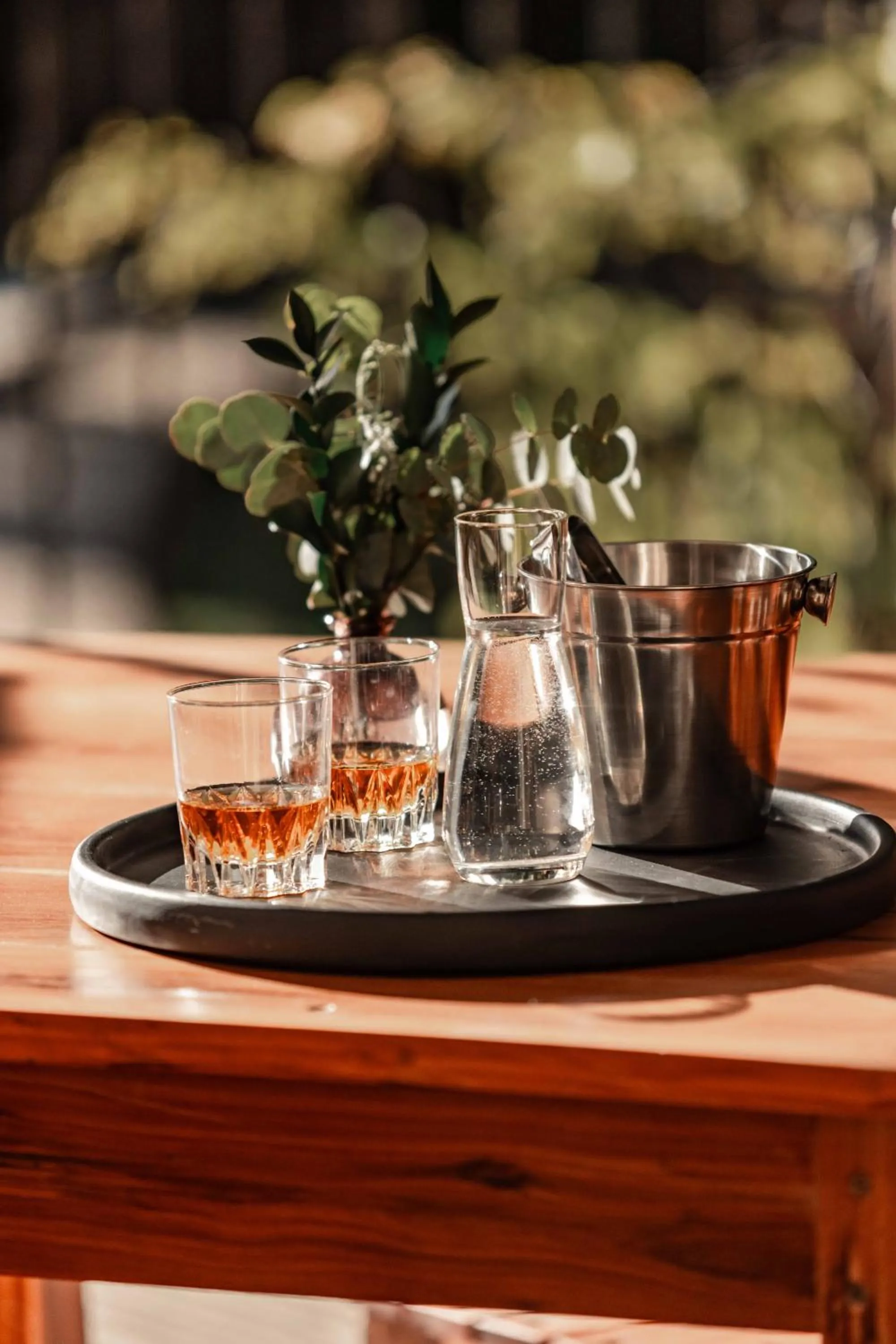 Food and drinks in The Green Lizard Guesthouse