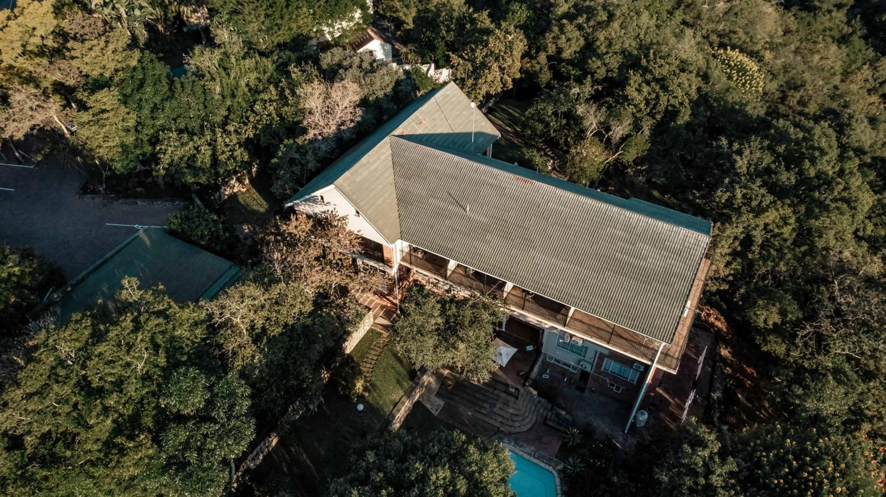 Property building in The Green Lizard Guesthouse