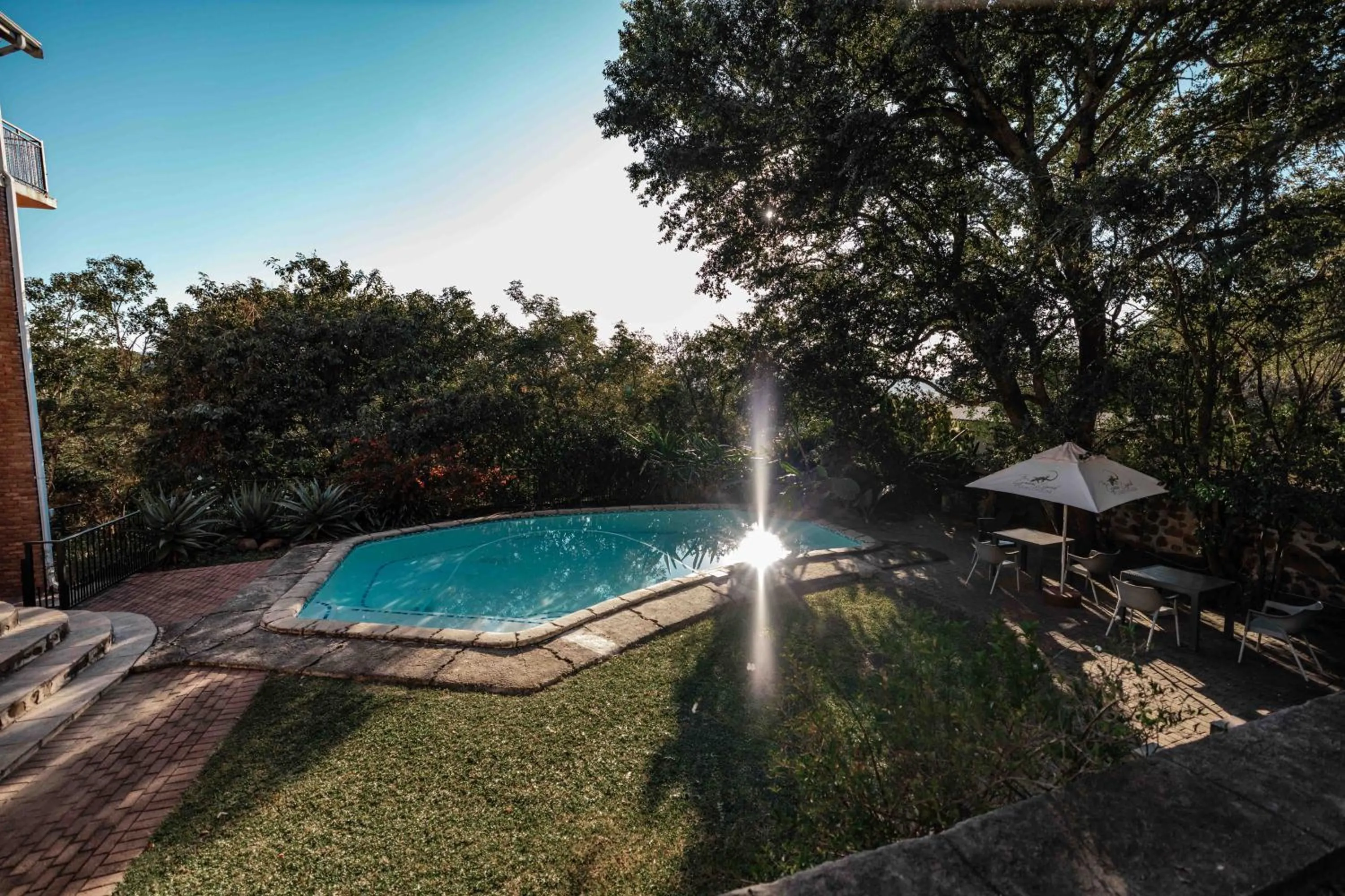 Garden in The Green Lizard Guesthouse