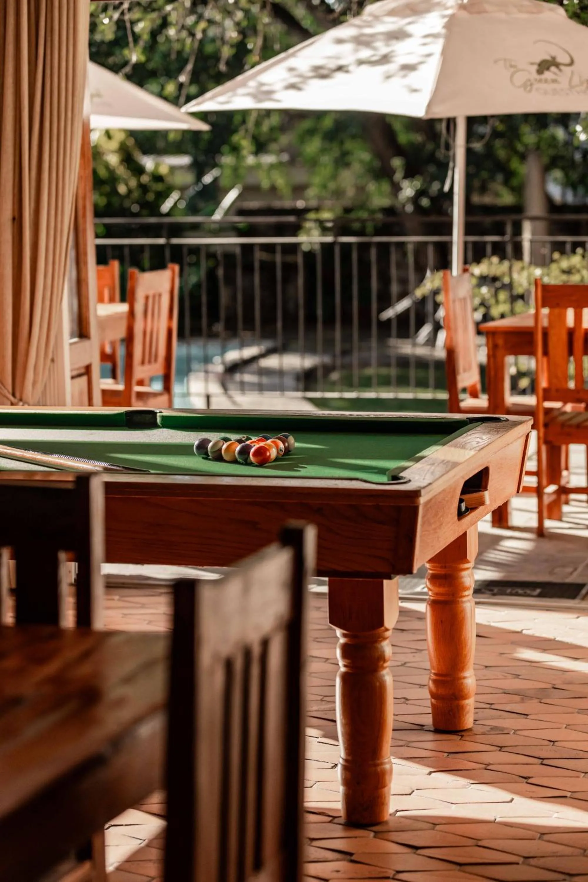 Entertainment in The Green Lizard Guesthouse