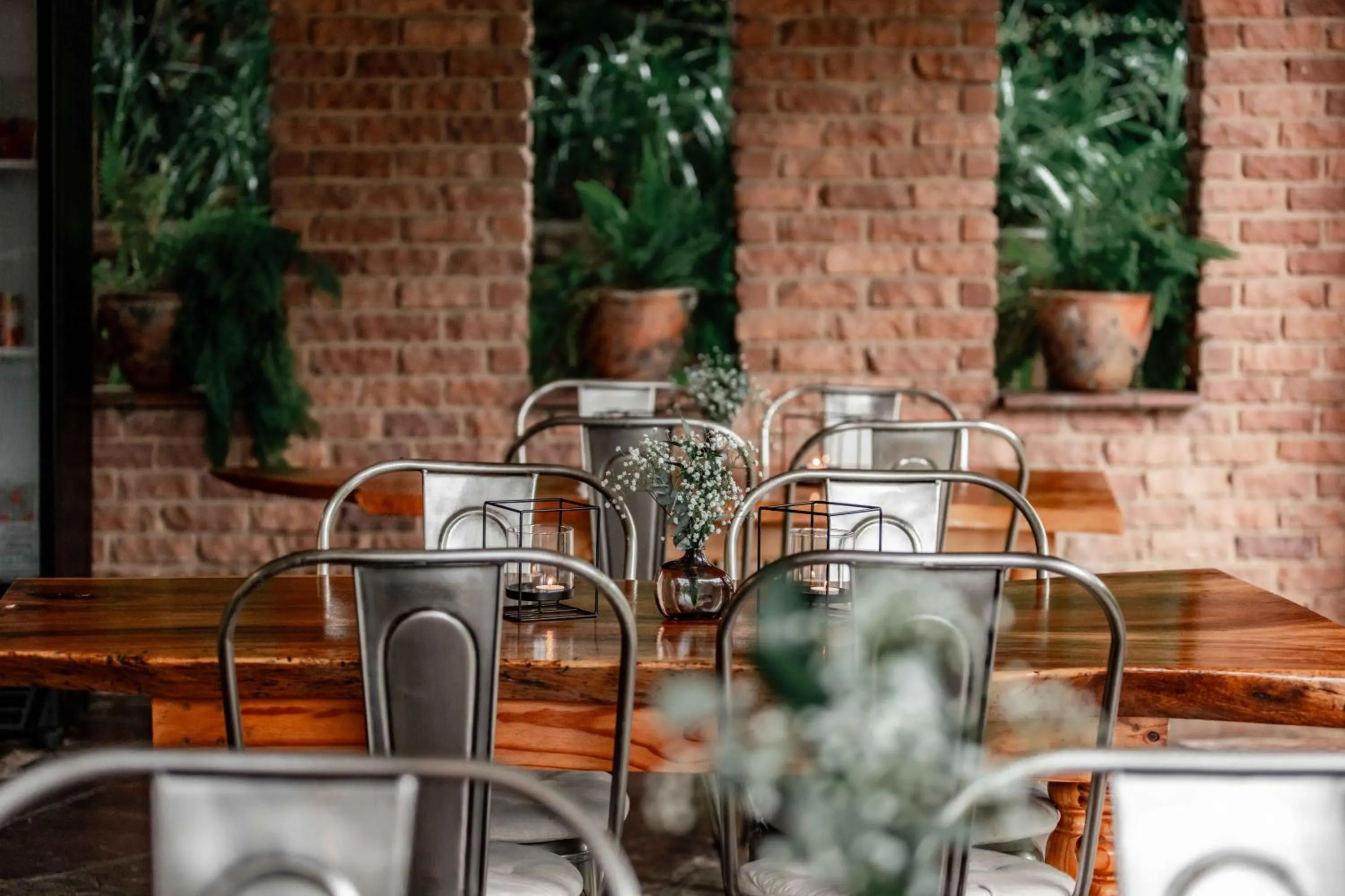 Restaurant/places to eat in The Green Lizard Guesthouse