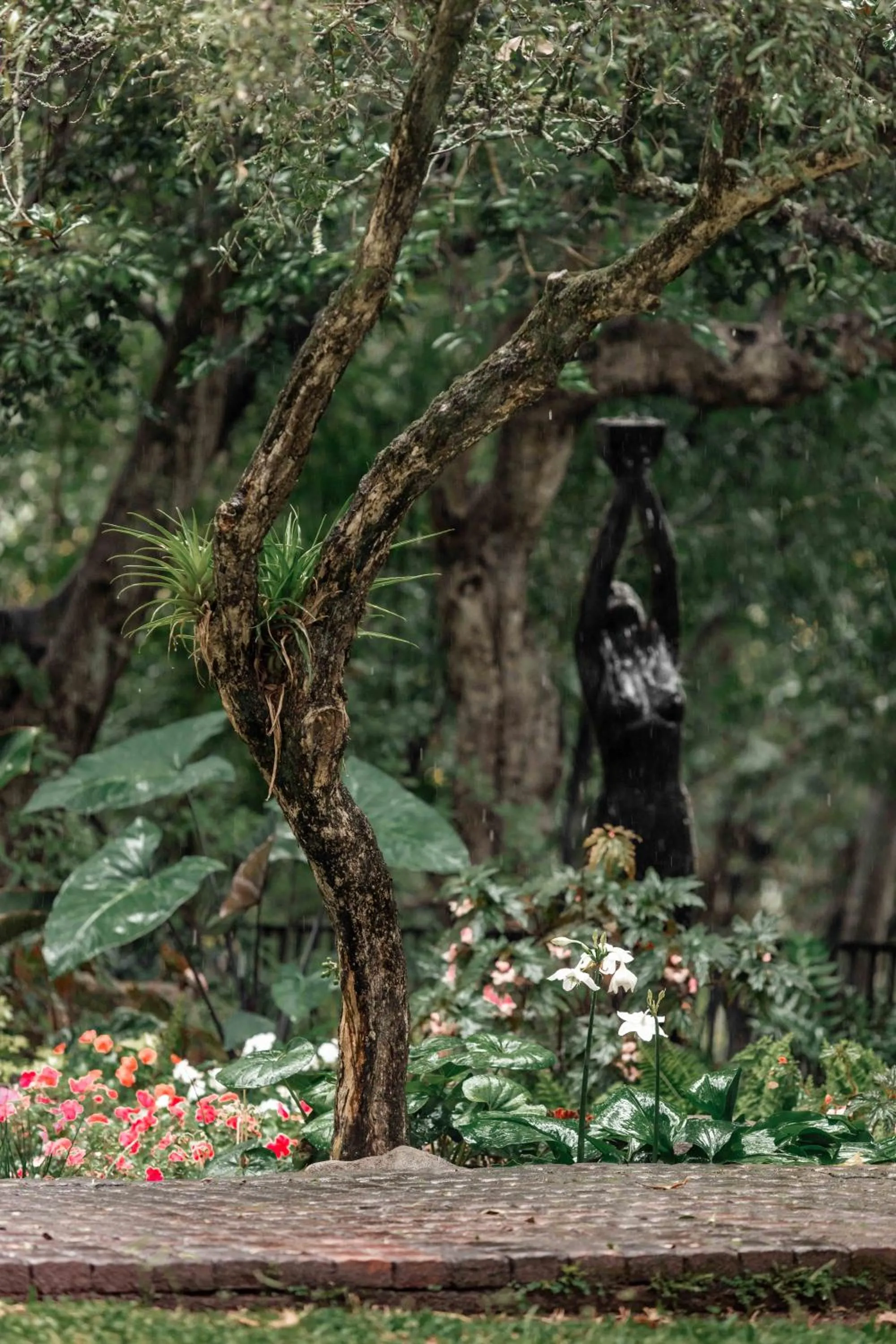 Natural landscape in The Green Lizard Guesthouse