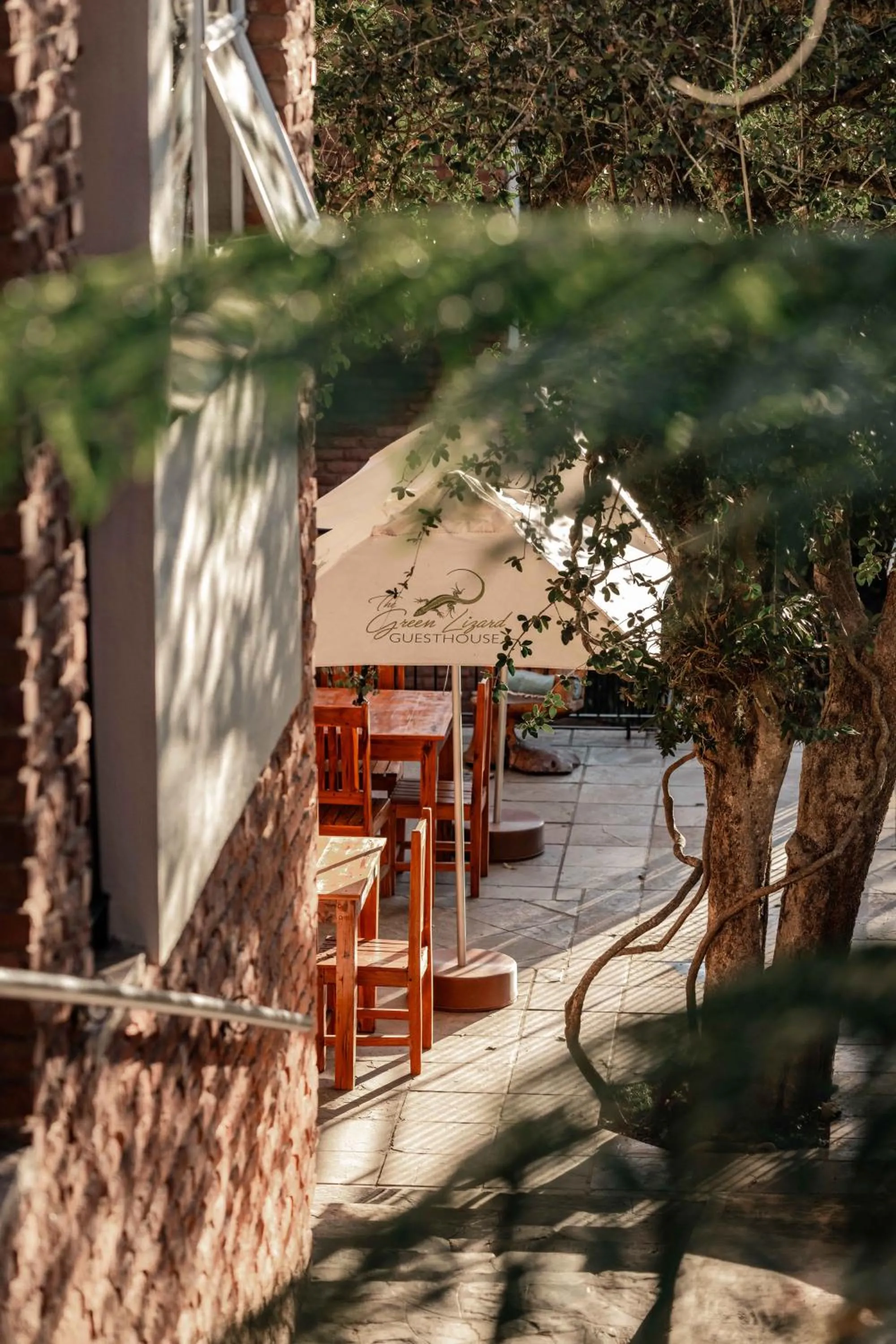 Garden in The Green Lizard Guesthouse