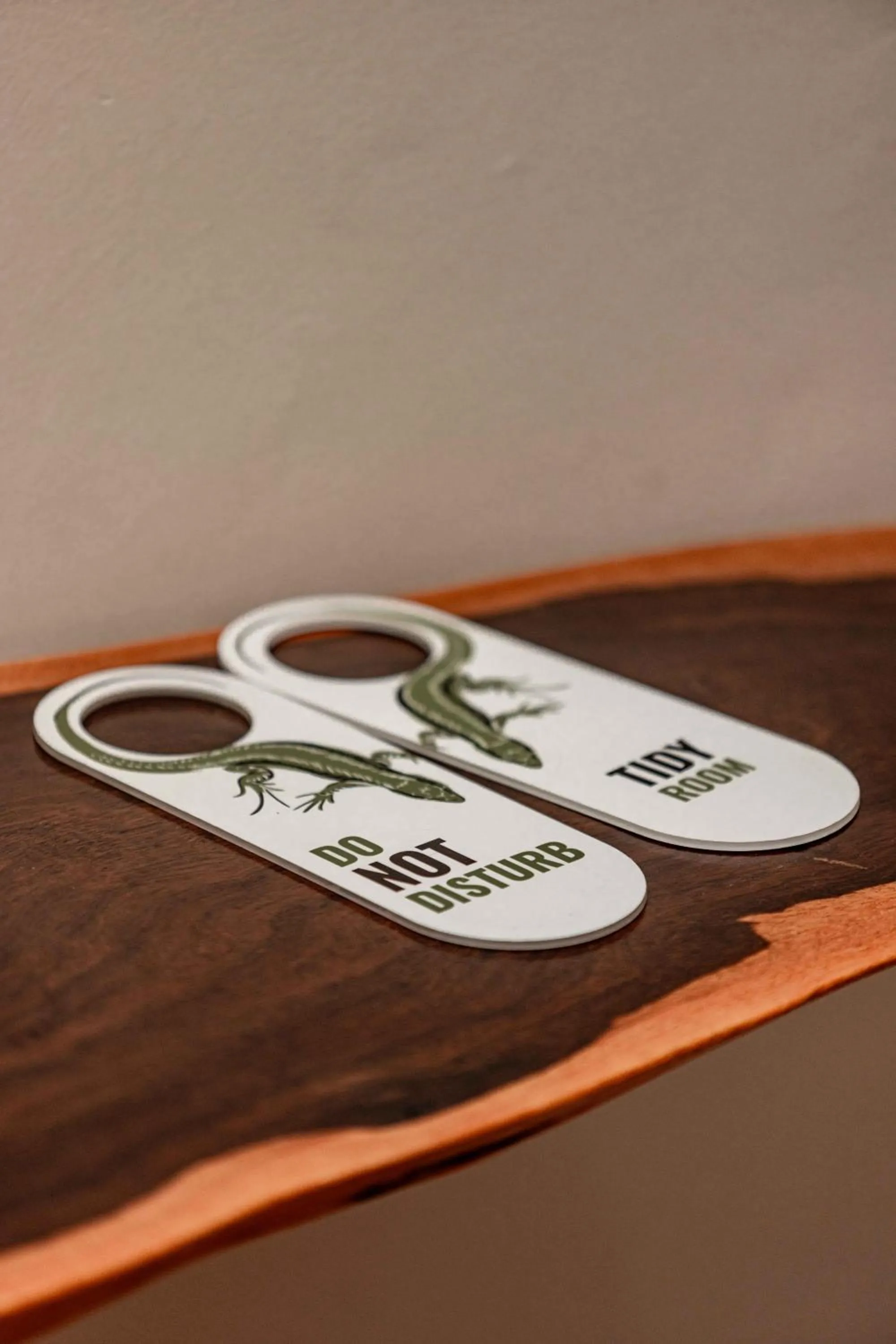 Decorative detail in The Green Lizard Guesthouse