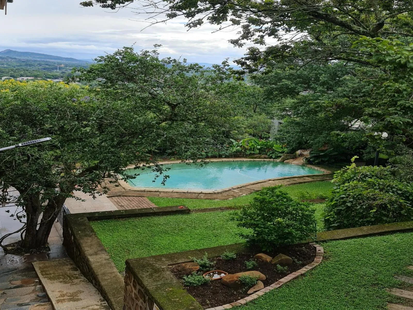 Garden in The Green Lizard Guesthouse