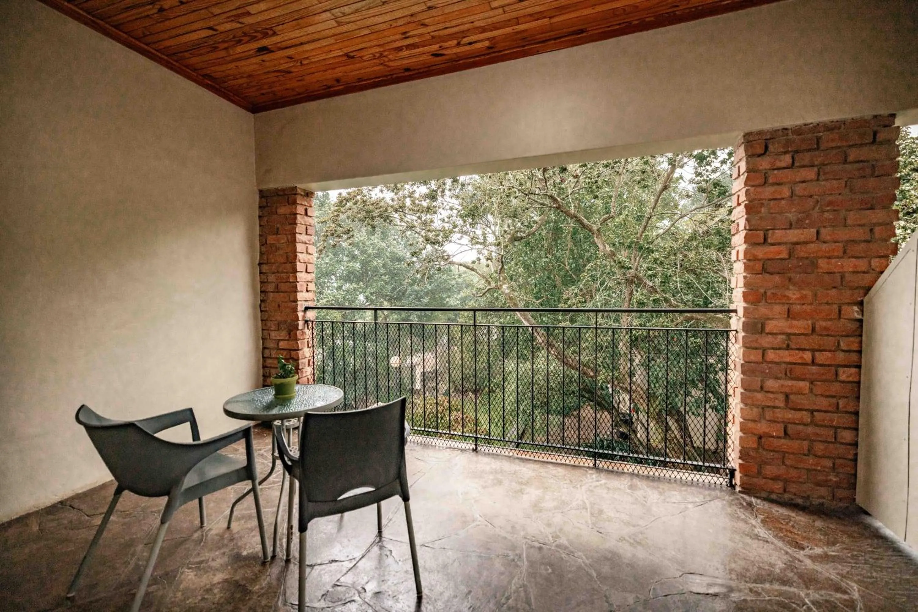 Patio in The Green Lizard Guesthouse
