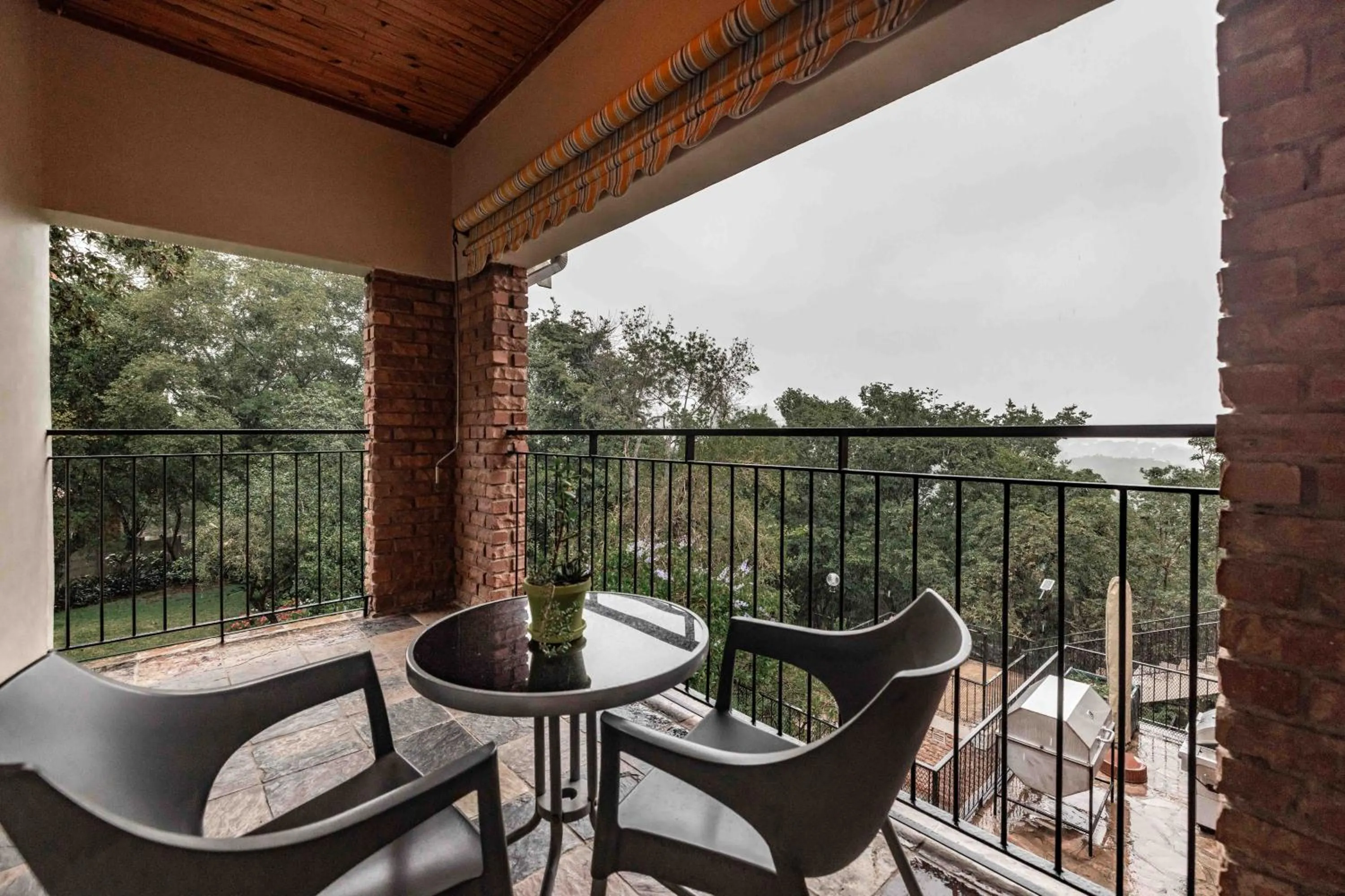 Patio in The Green Lizard Guesthouse