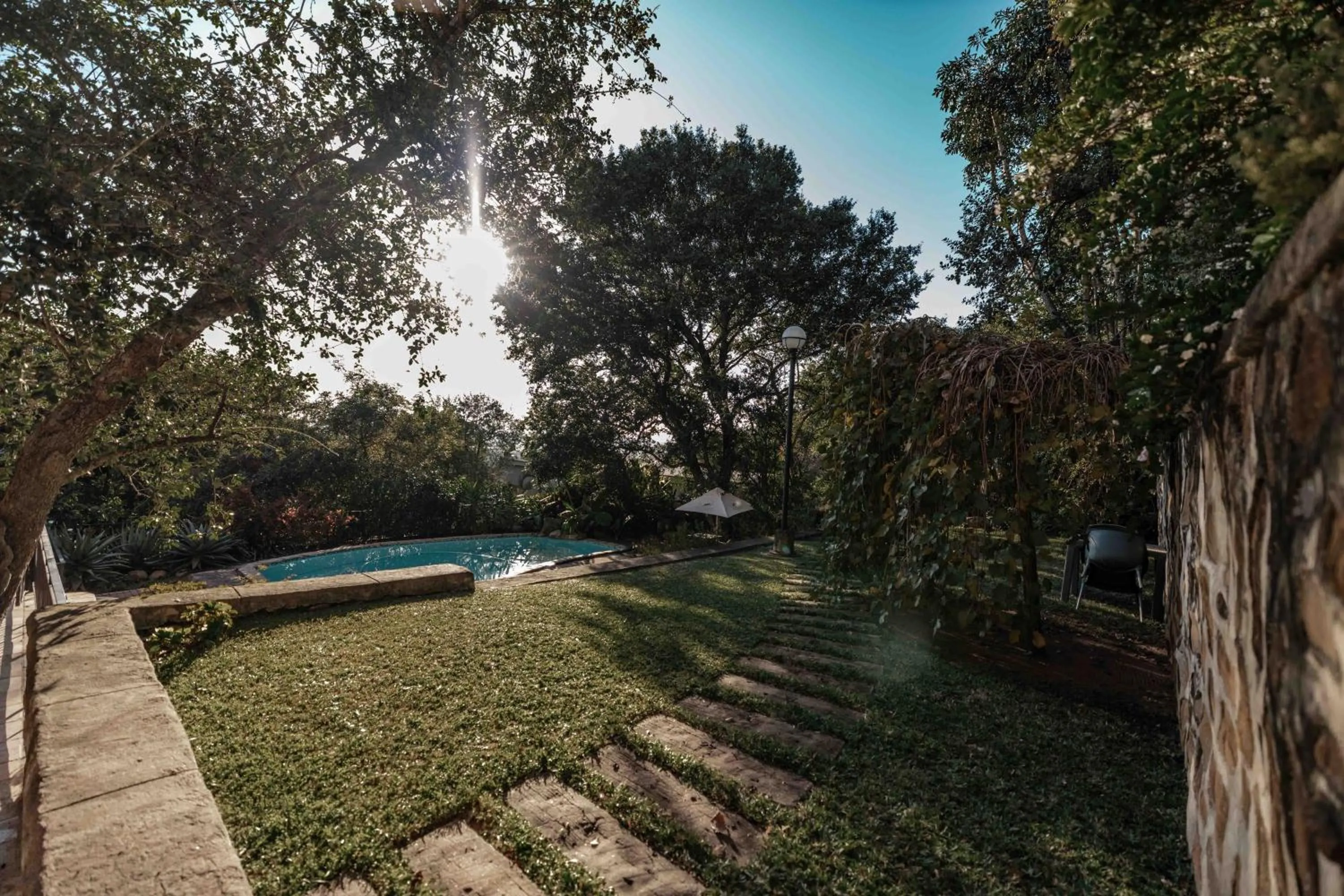 Garden in The Green Lizard Guesthouse