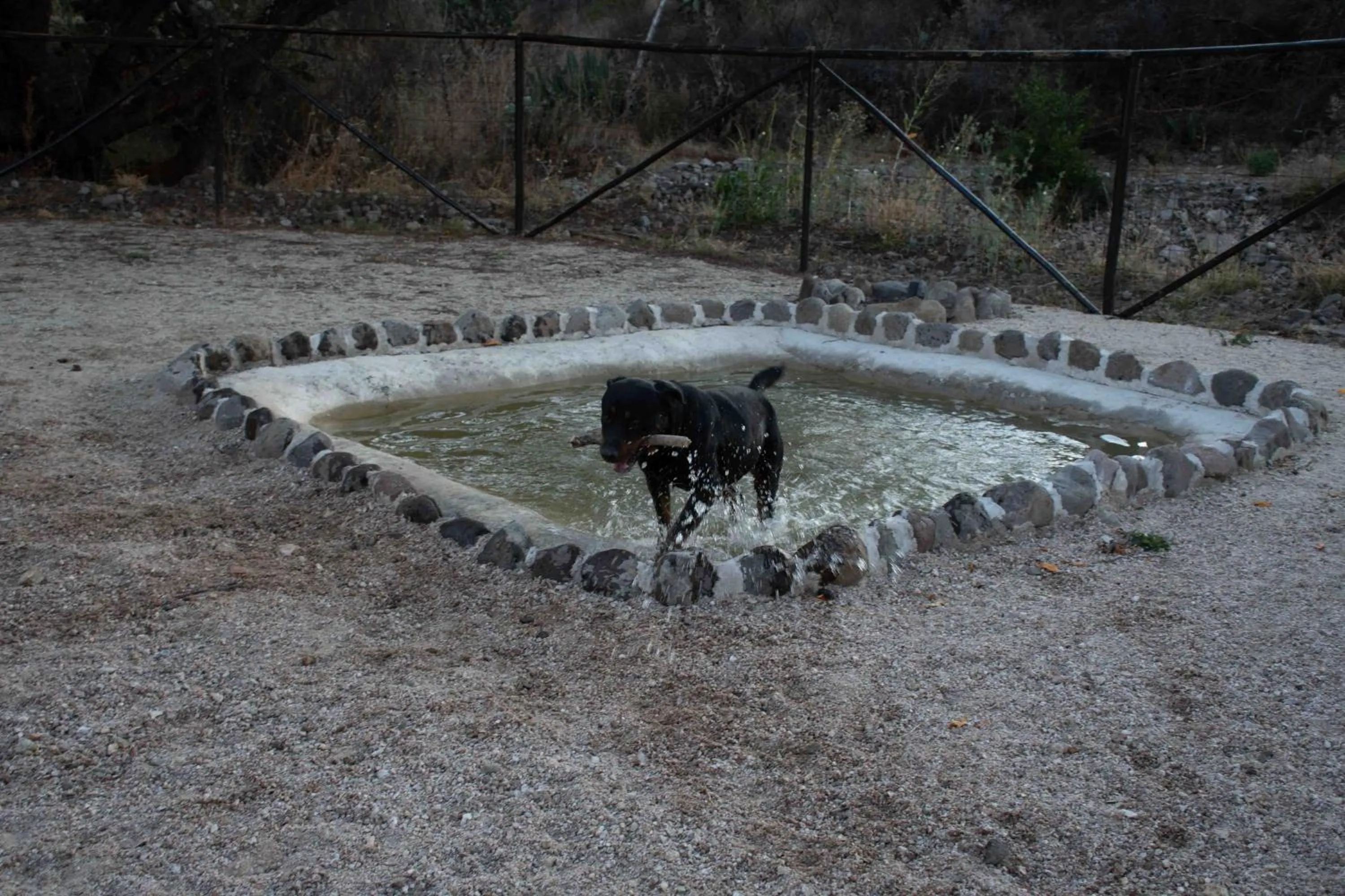 Echological Hotel, Restaurante & Spa