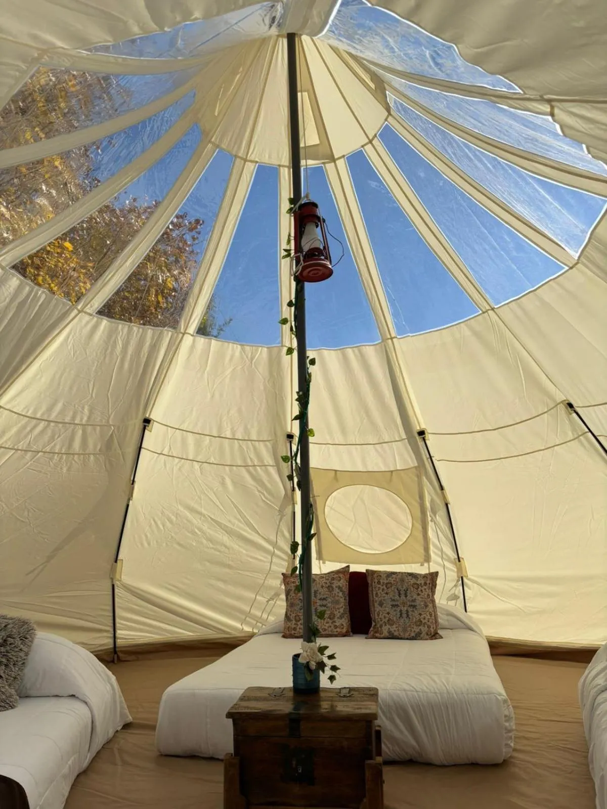 Echological Hotel, Restaurante & Spa