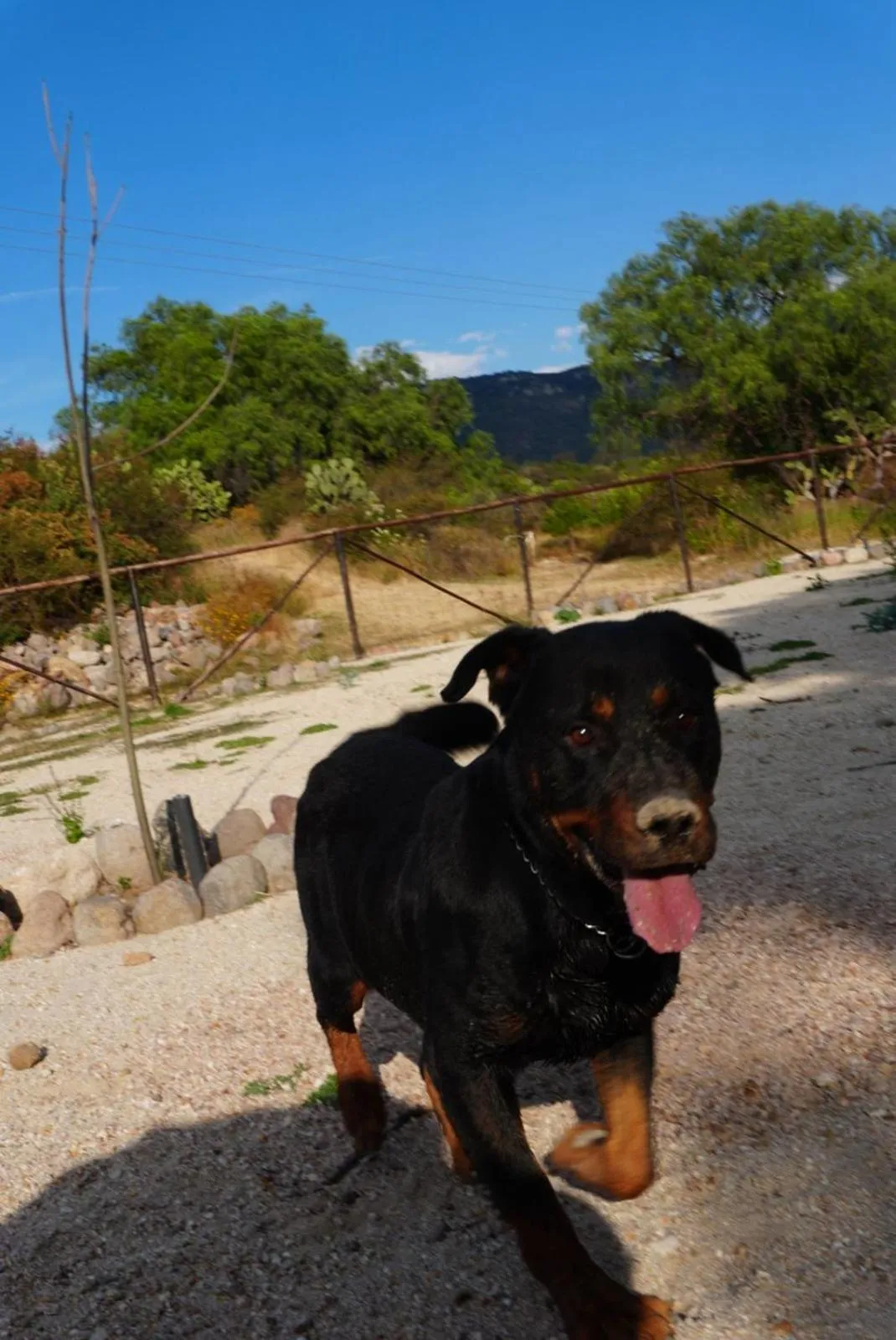 Echological Hotel, Restaurante & Spa