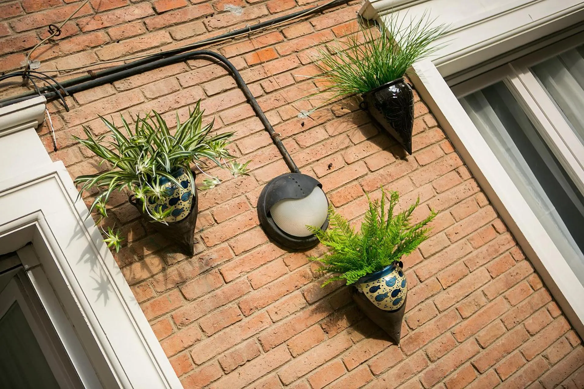 Property building in Blanc Guest House