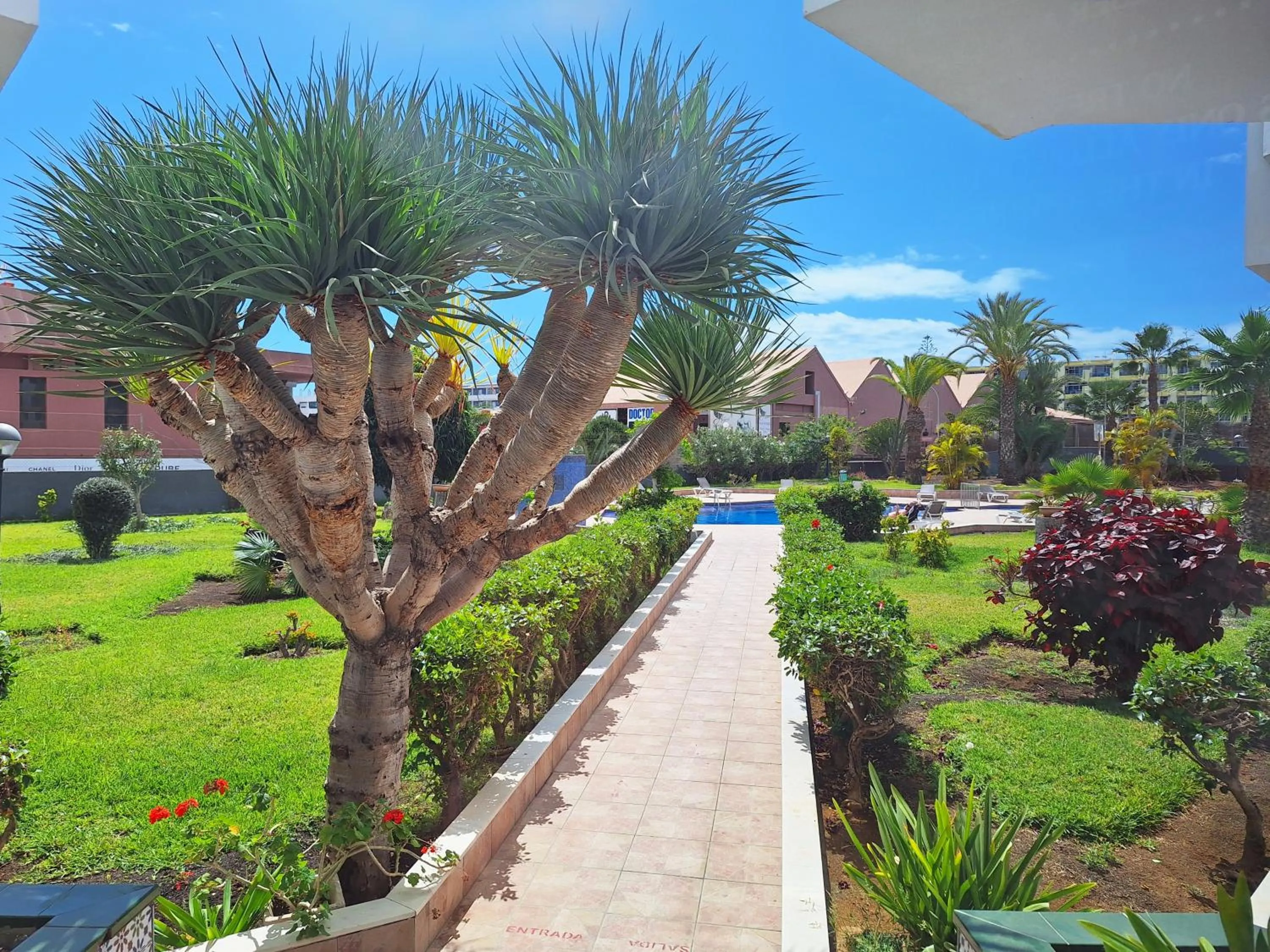 Garden view in Stylish 2-Bedroom Apartment Yumbo