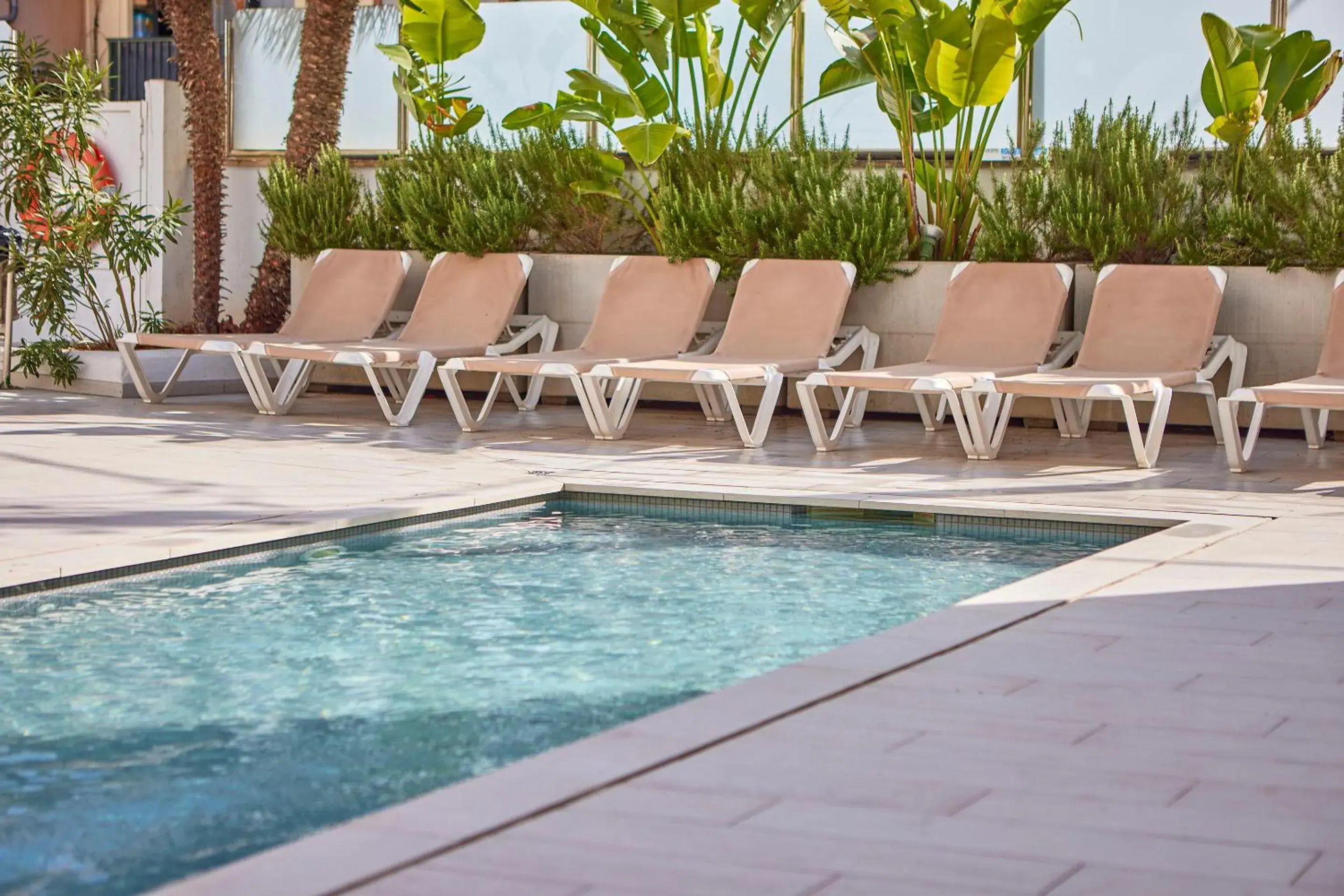 Swimming pool in Hotel Ilusion Calma & Spa Swimming pool in Hotel Ilusion Calma & Spa