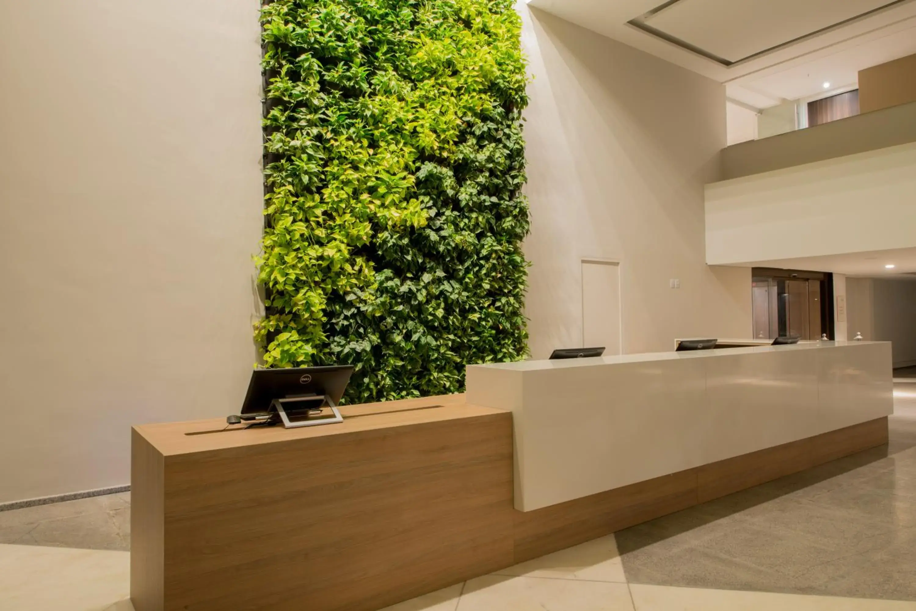 Lobby or reception in Wish Natal Lobby or reception in Wish Natal