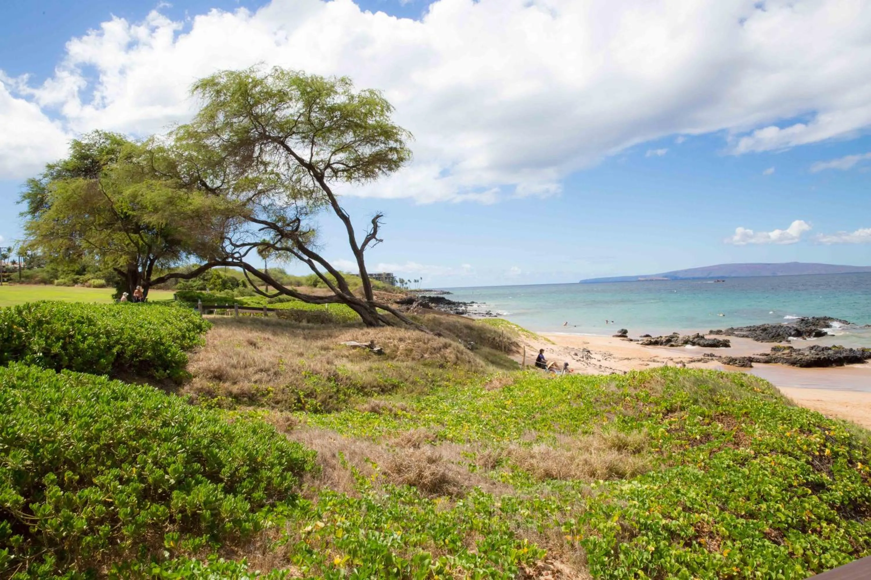 Hale Kamaole 220