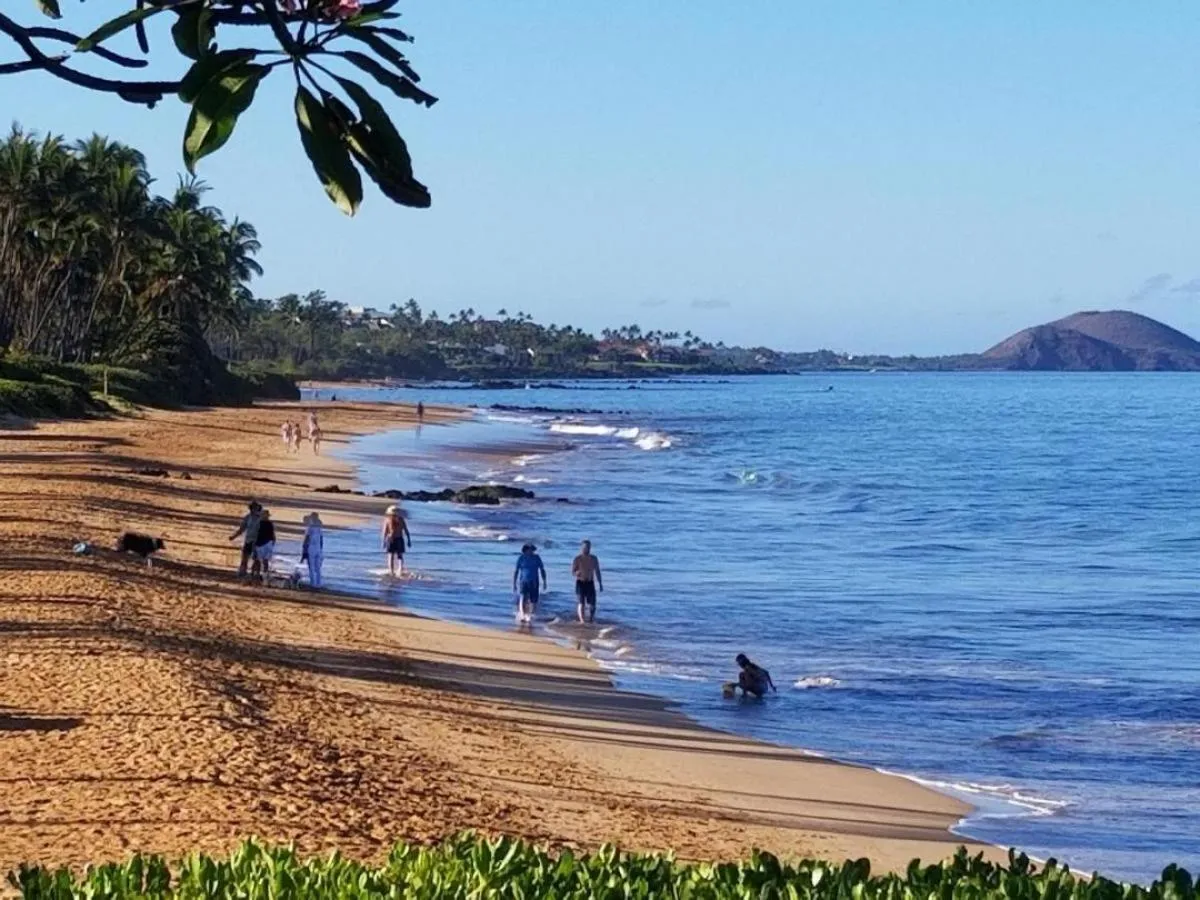 Hale Kamaole 220