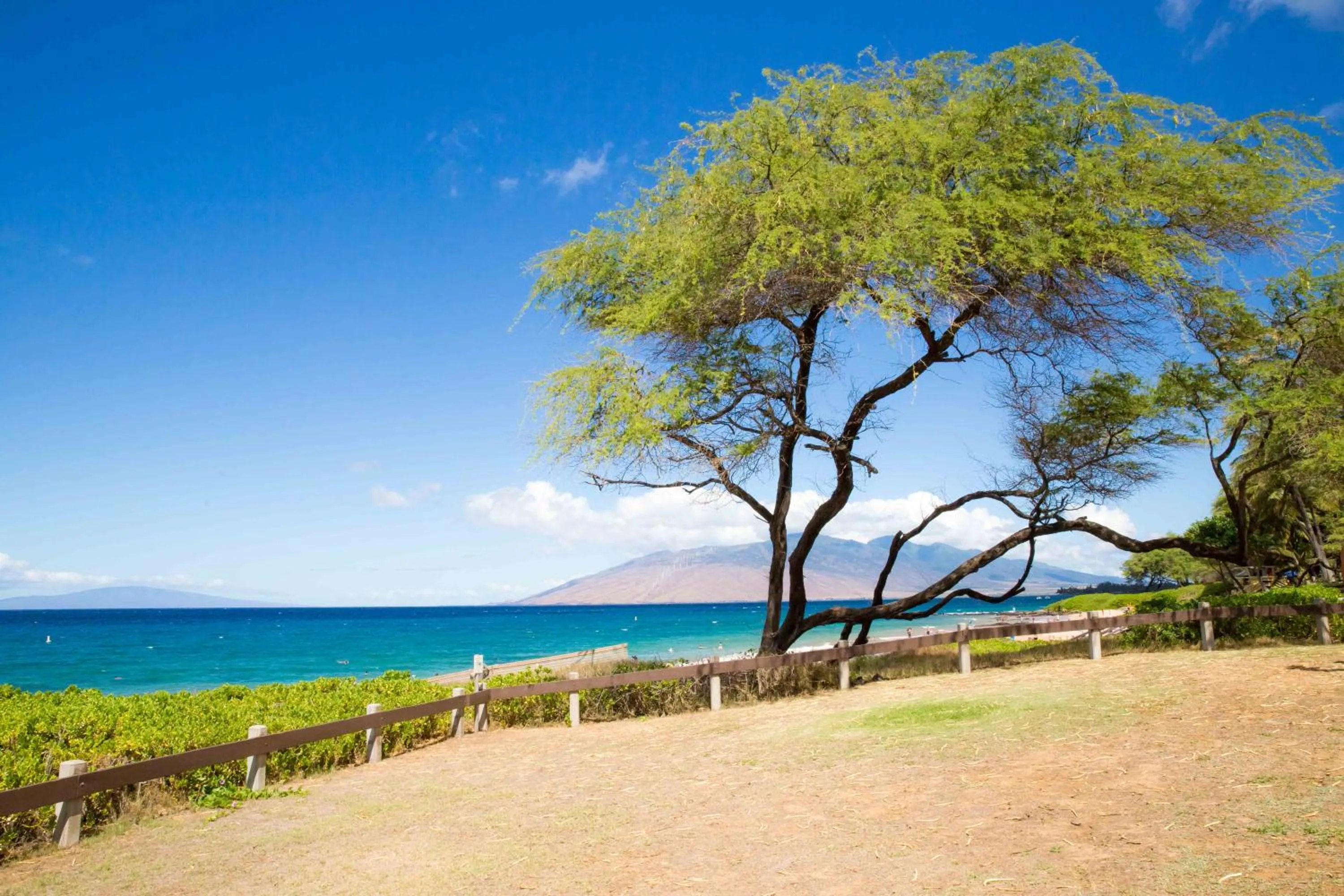 Hale Kamaole 220