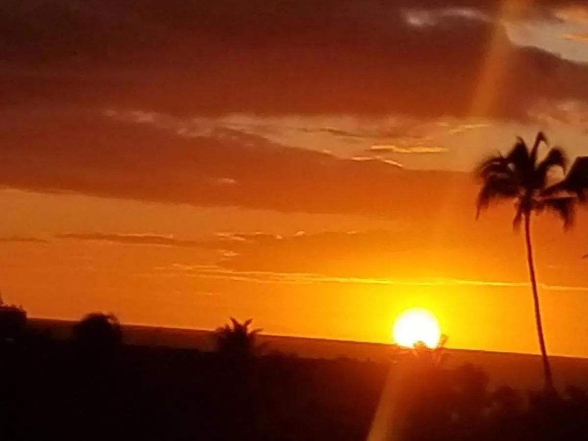 Hale Kamaole 220