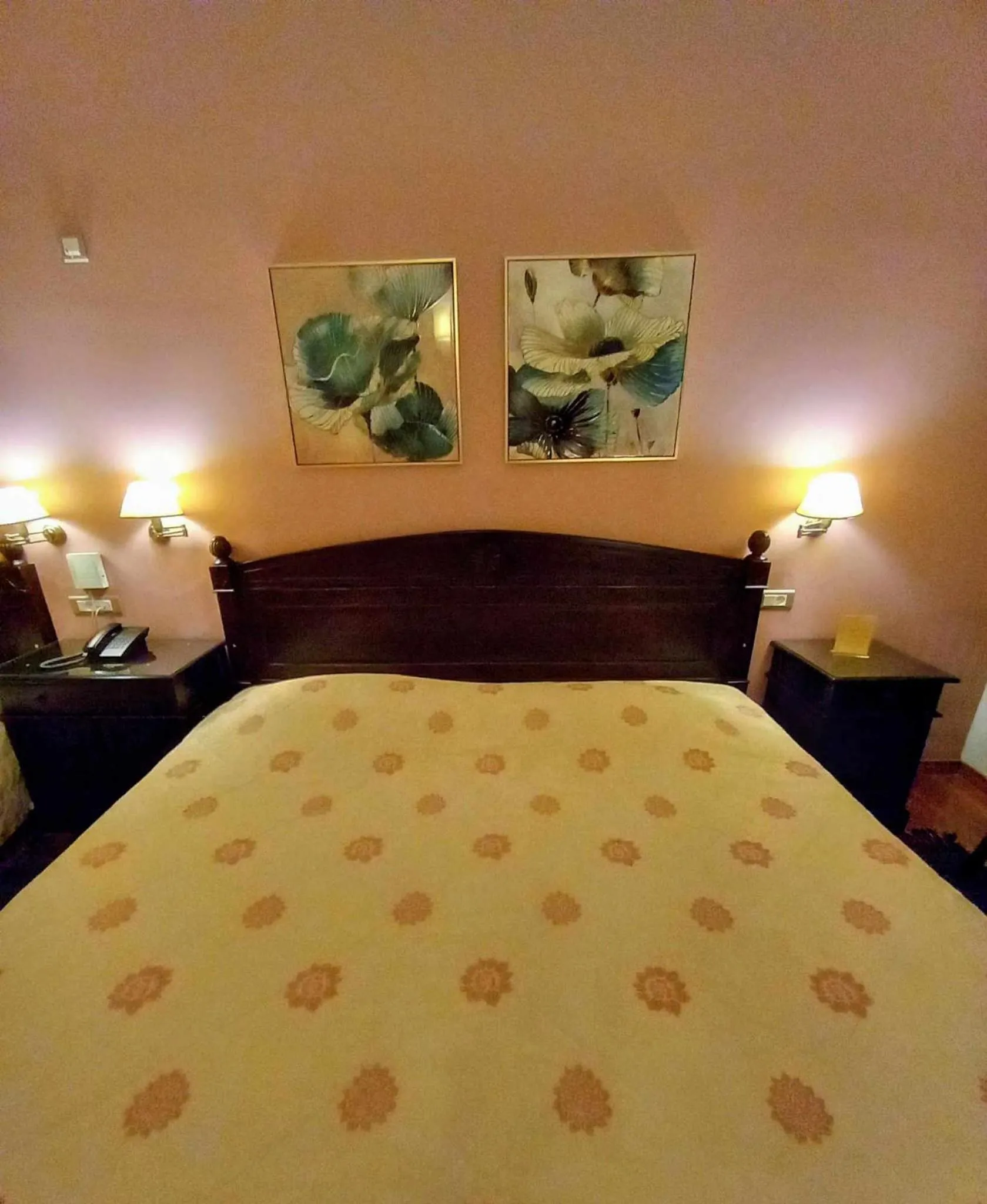 Bed in Vytina Mountain View Hotel