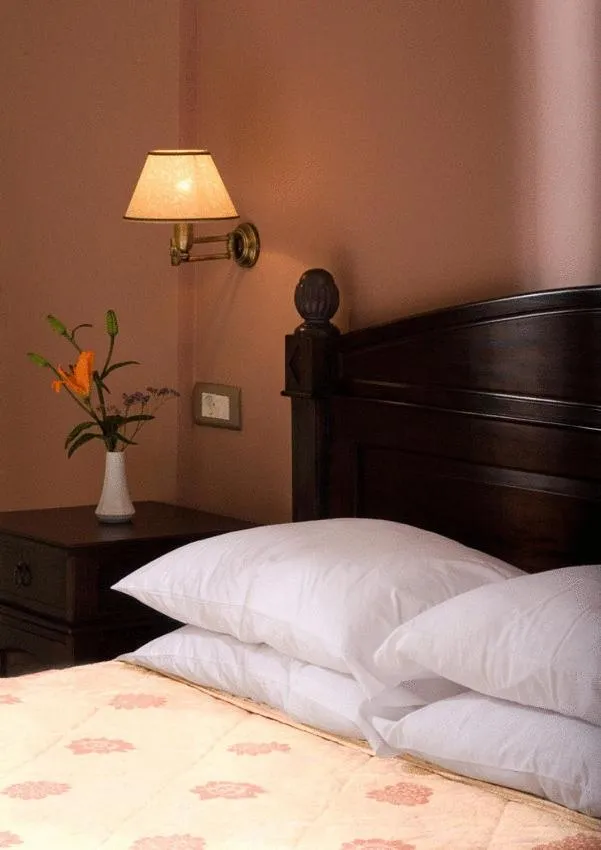 Bed in Vytina Mountain View Hotel
