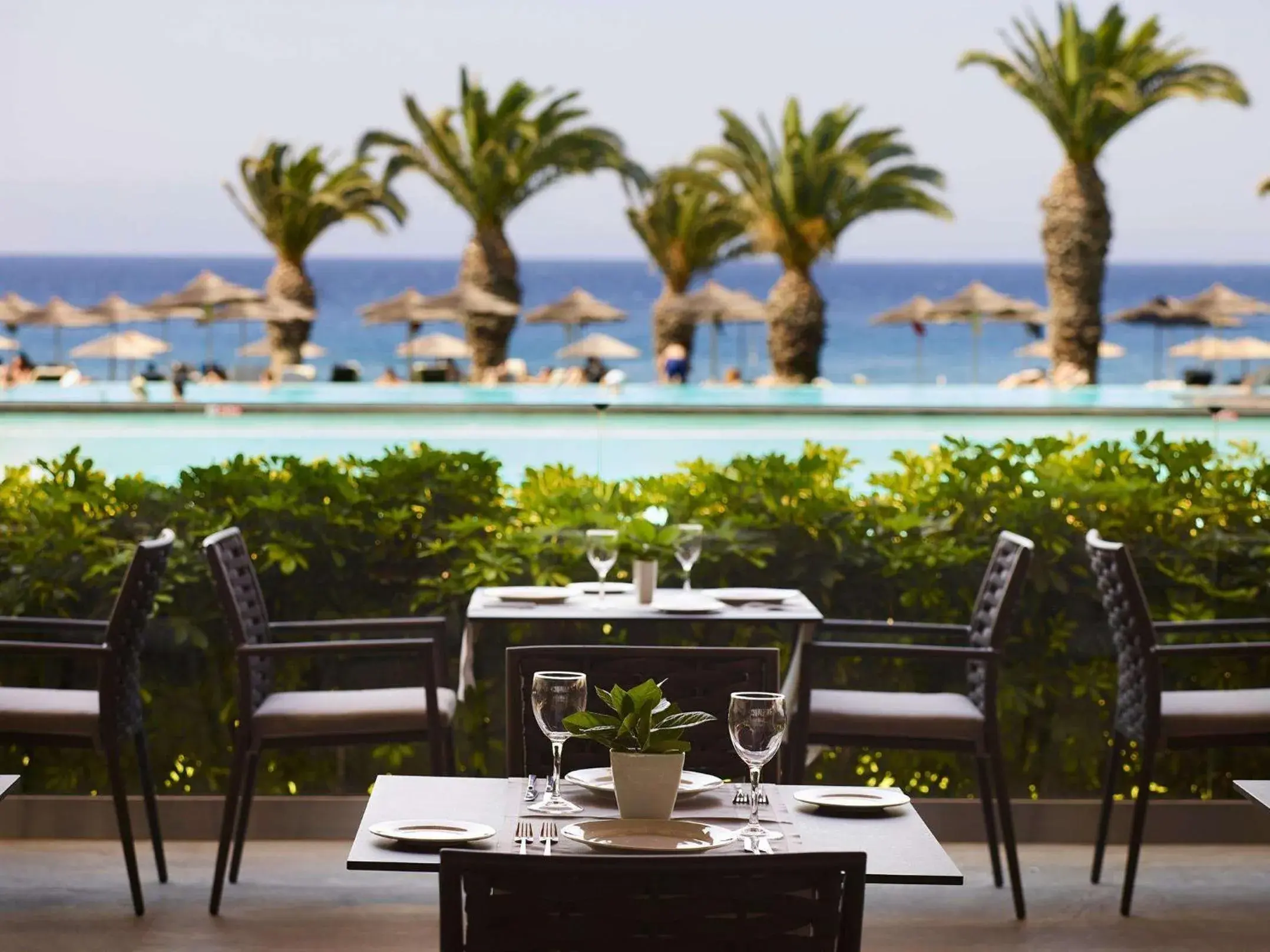 Restaurant/places to eat in The Ixian Grand & All Suites - Adults Only Hotel Restaurant/places to eat in The Ixian Grand & All Suites - Adults Only Hotel