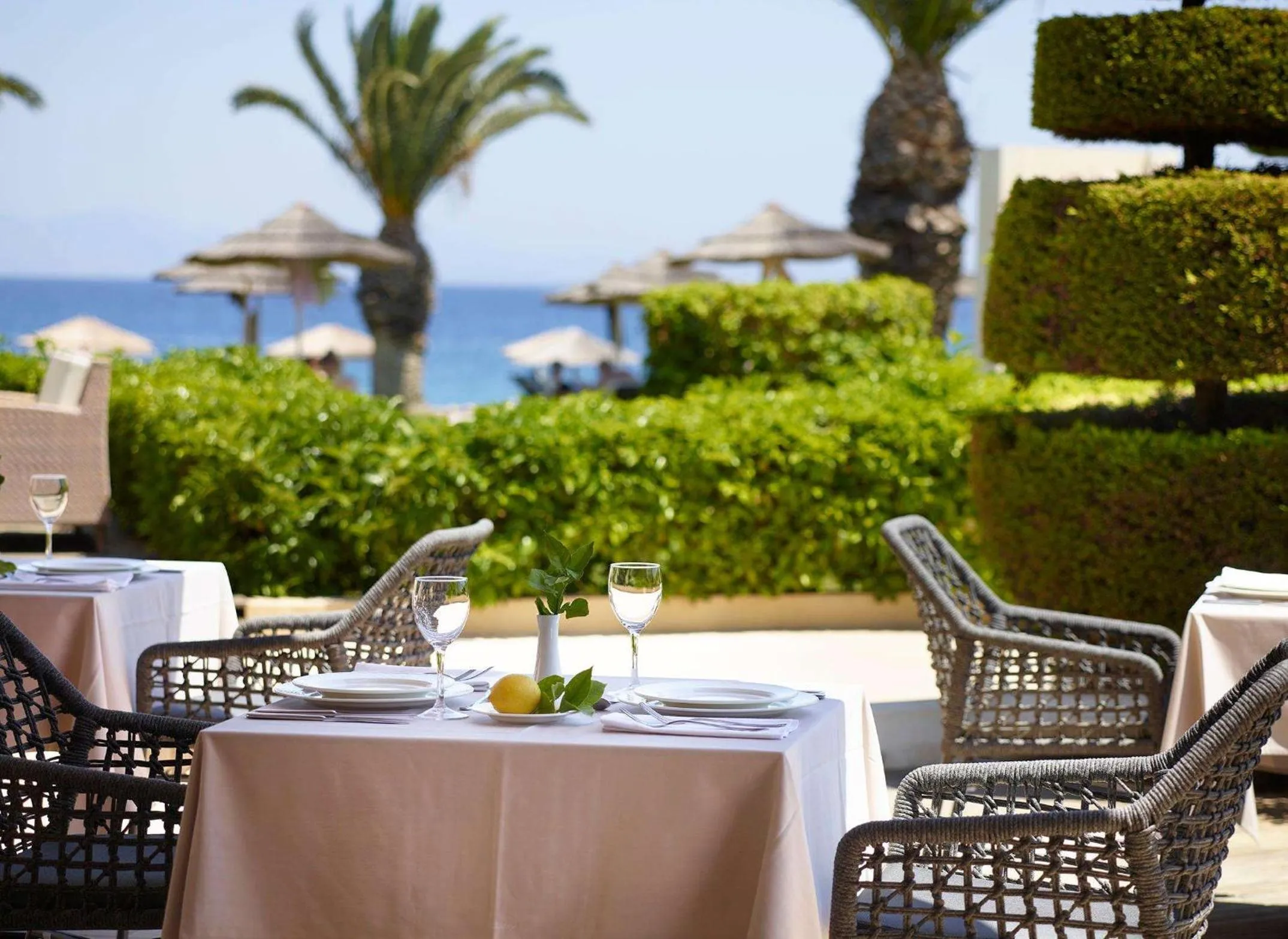 Restaurant/places to eat in The Ixian Grand & All Suites - Adults Only Hotel