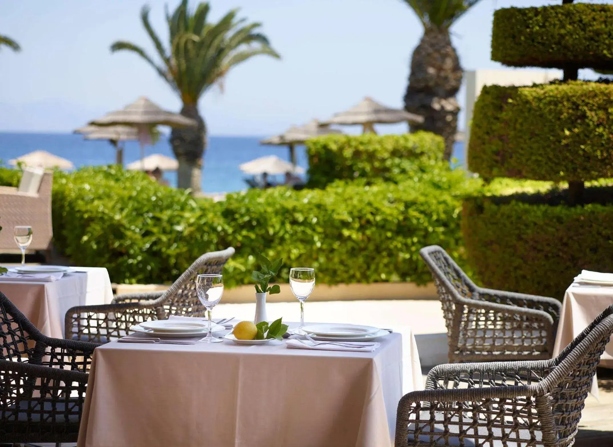 Restaurant/places to eat in The Ixian Grand & All Suites - Adults Only Hotel Restaurant/places to eat in The Ixian Grand & All Suites - Adults Only Hotel