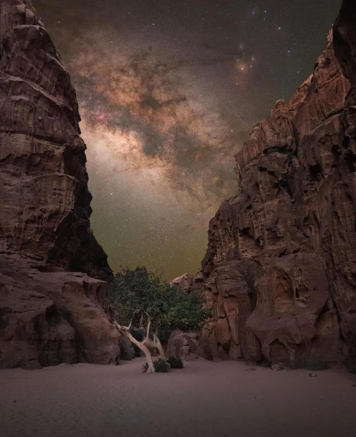 Night in Shaheen Camp Wadi rum