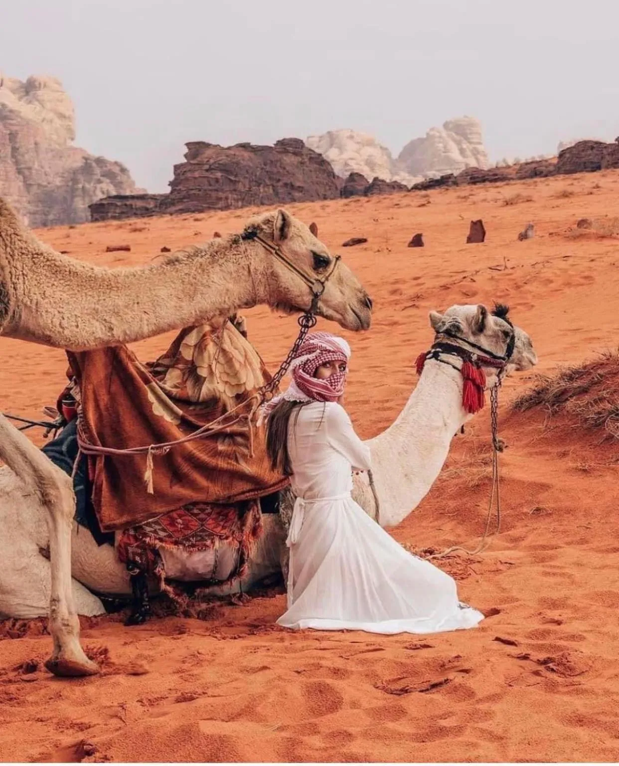 Day in Shaheen Camp Wadi rum