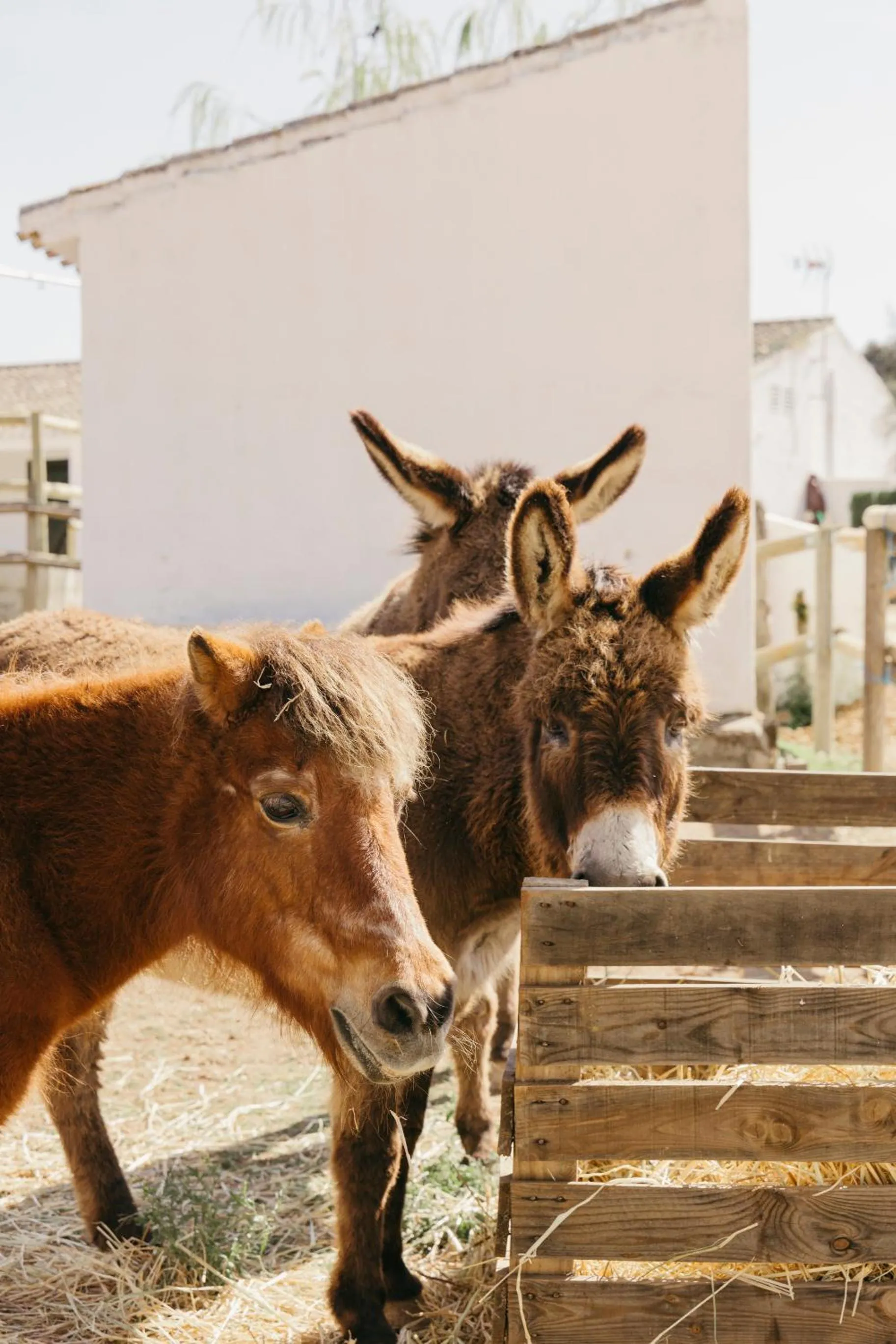 Day in Finca La Bobadilla - The Leading Hotels of the World
