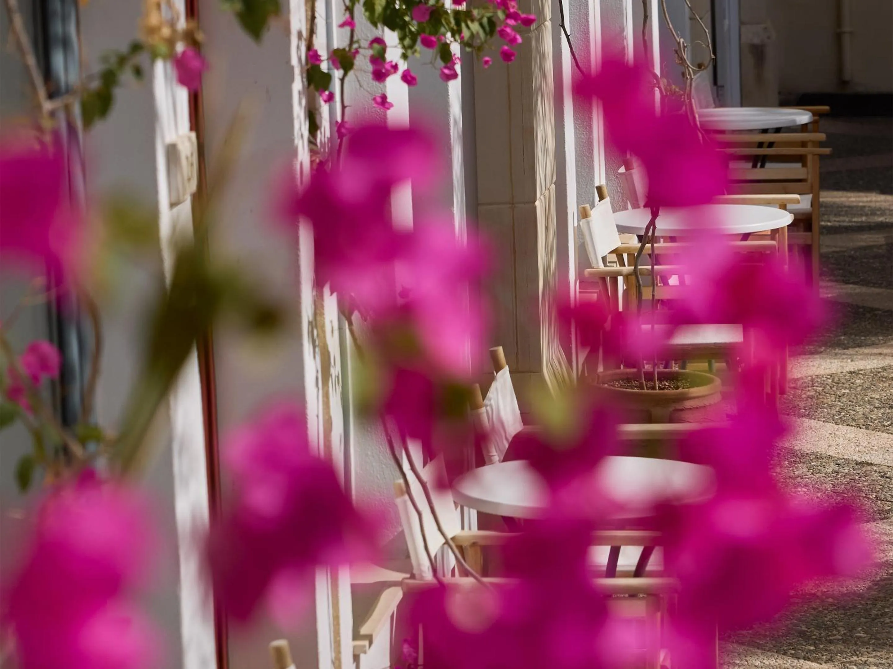 Seating area in Grecotel Plaza Beach House