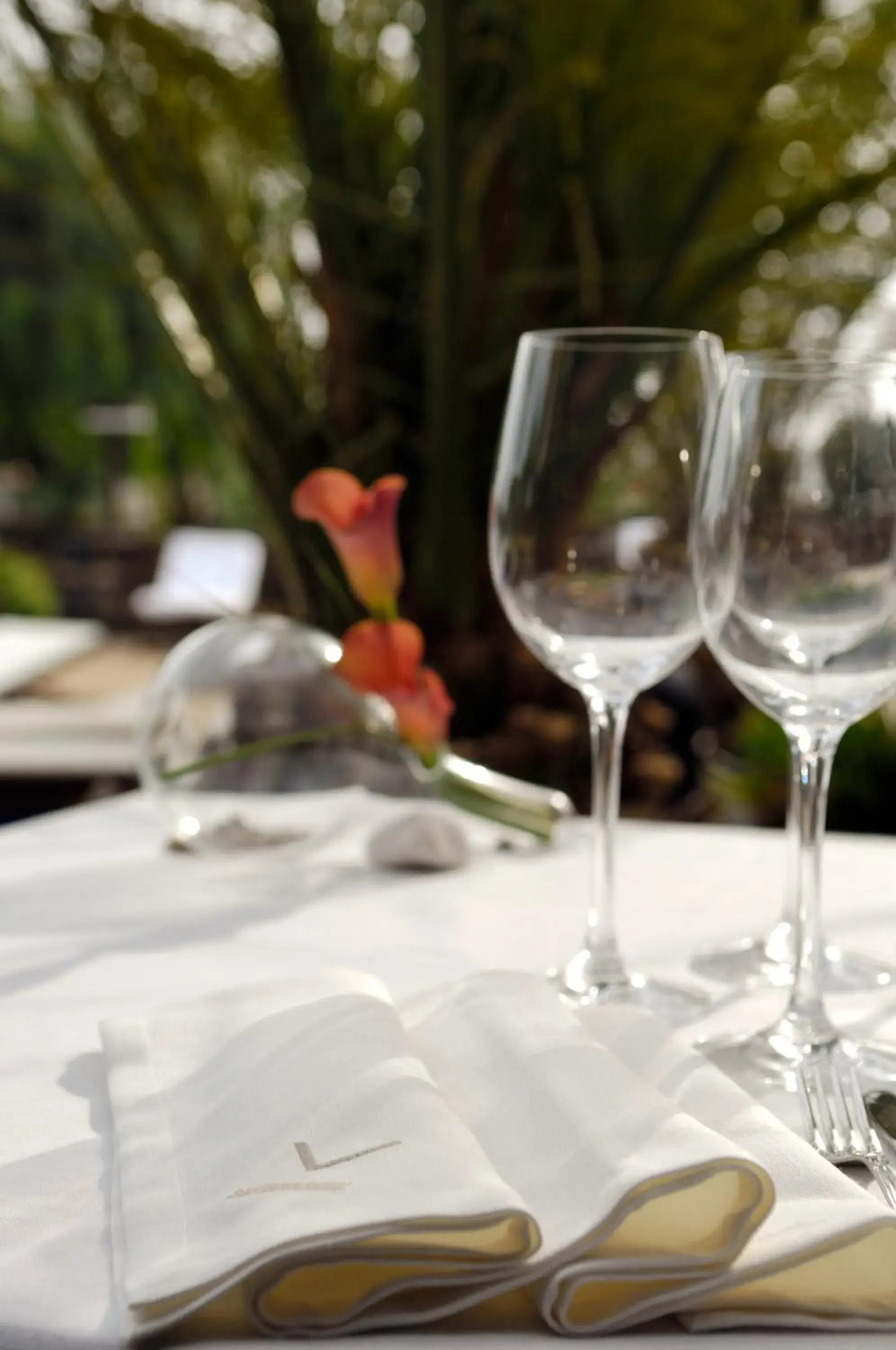 Restaurant/places to eat in Villa VIK - Hotel Boutique Restaurant/places to eat in Villa VIK - Hotel Boutique