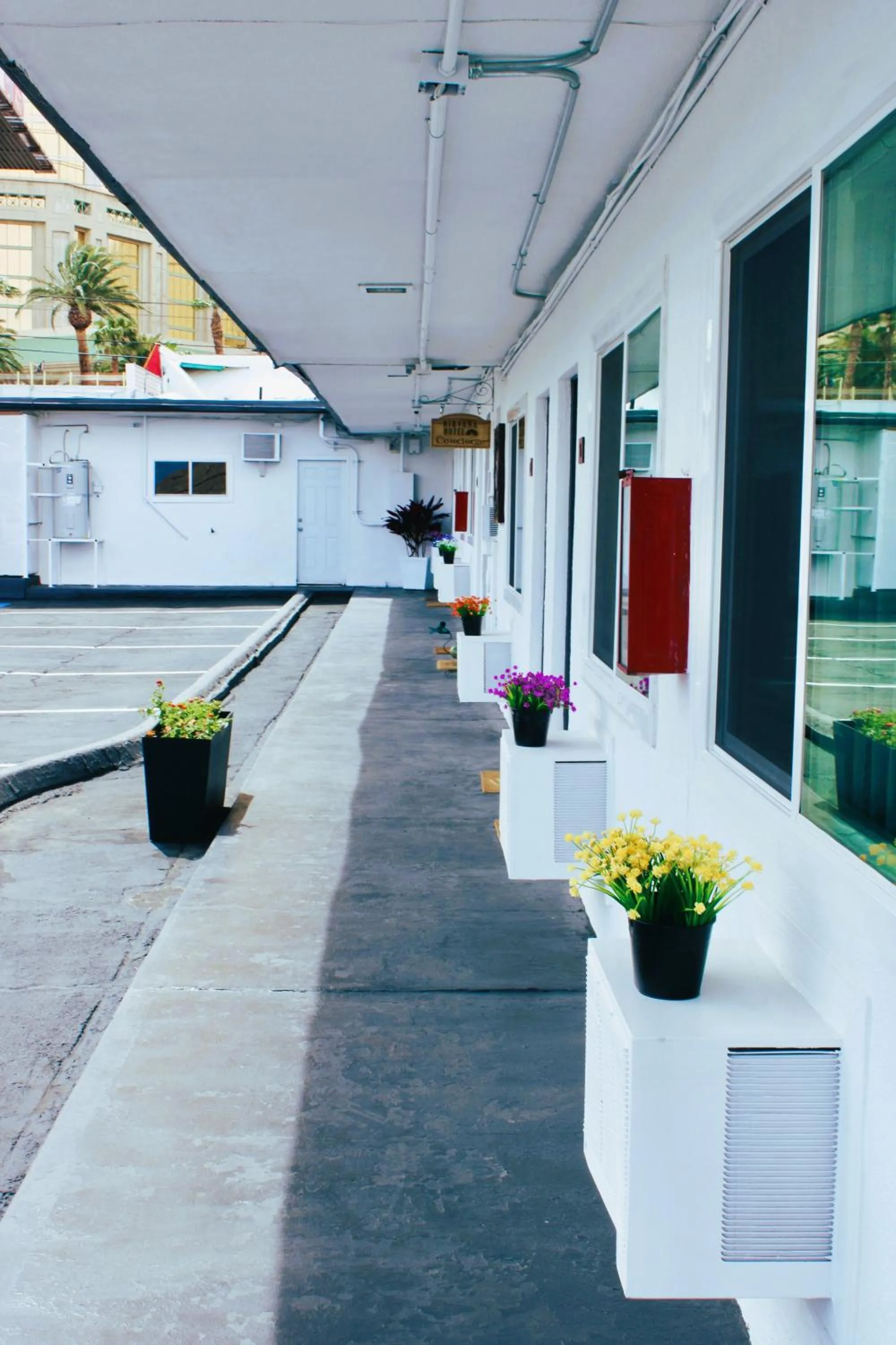 Day in Nirvana Hotel