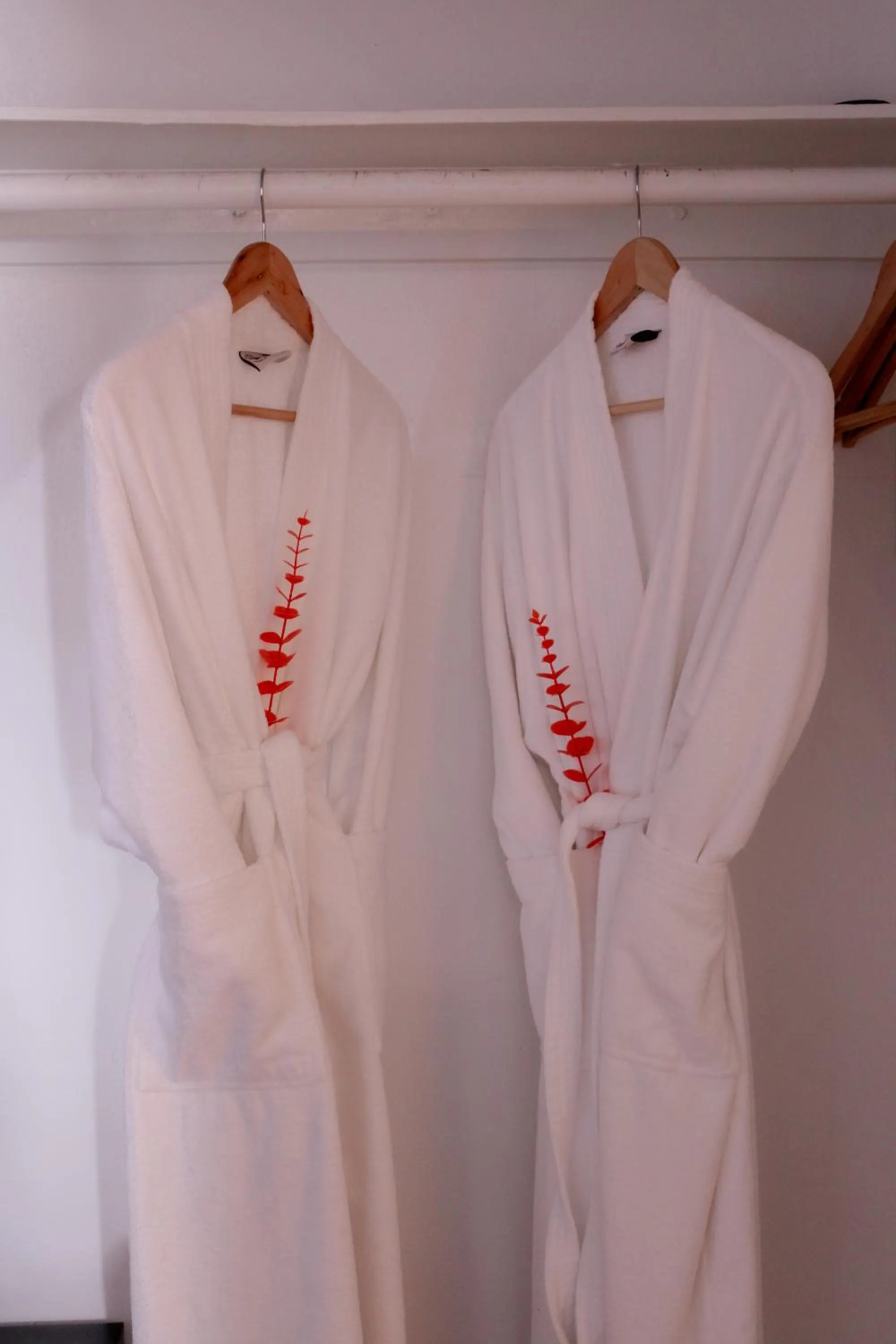 wardrobe in Nirvana Hotel