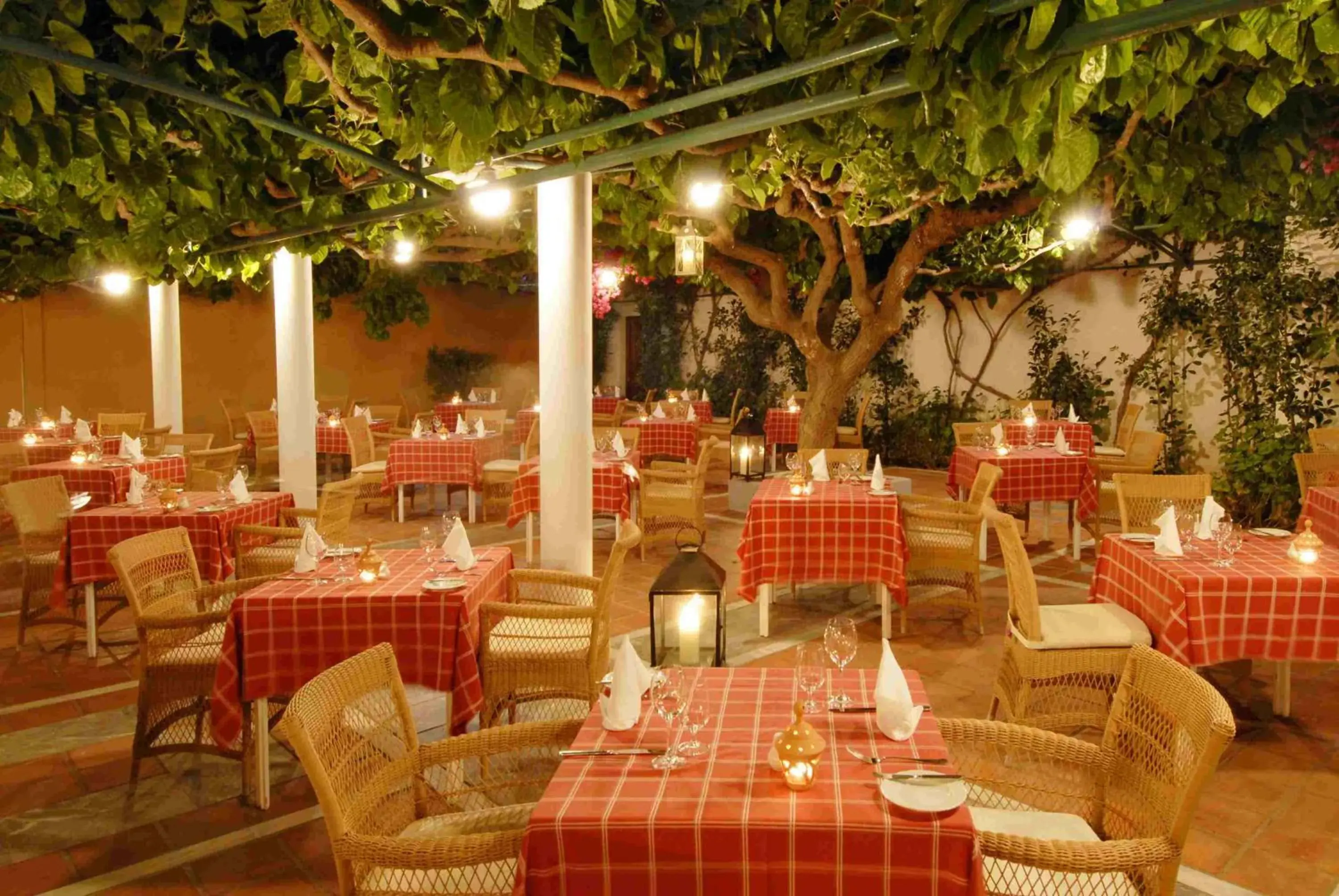 Restaurant/places to eat in Aquila Rithymna Beach Restaurant/places to eat in Aquila Rithymna Beach