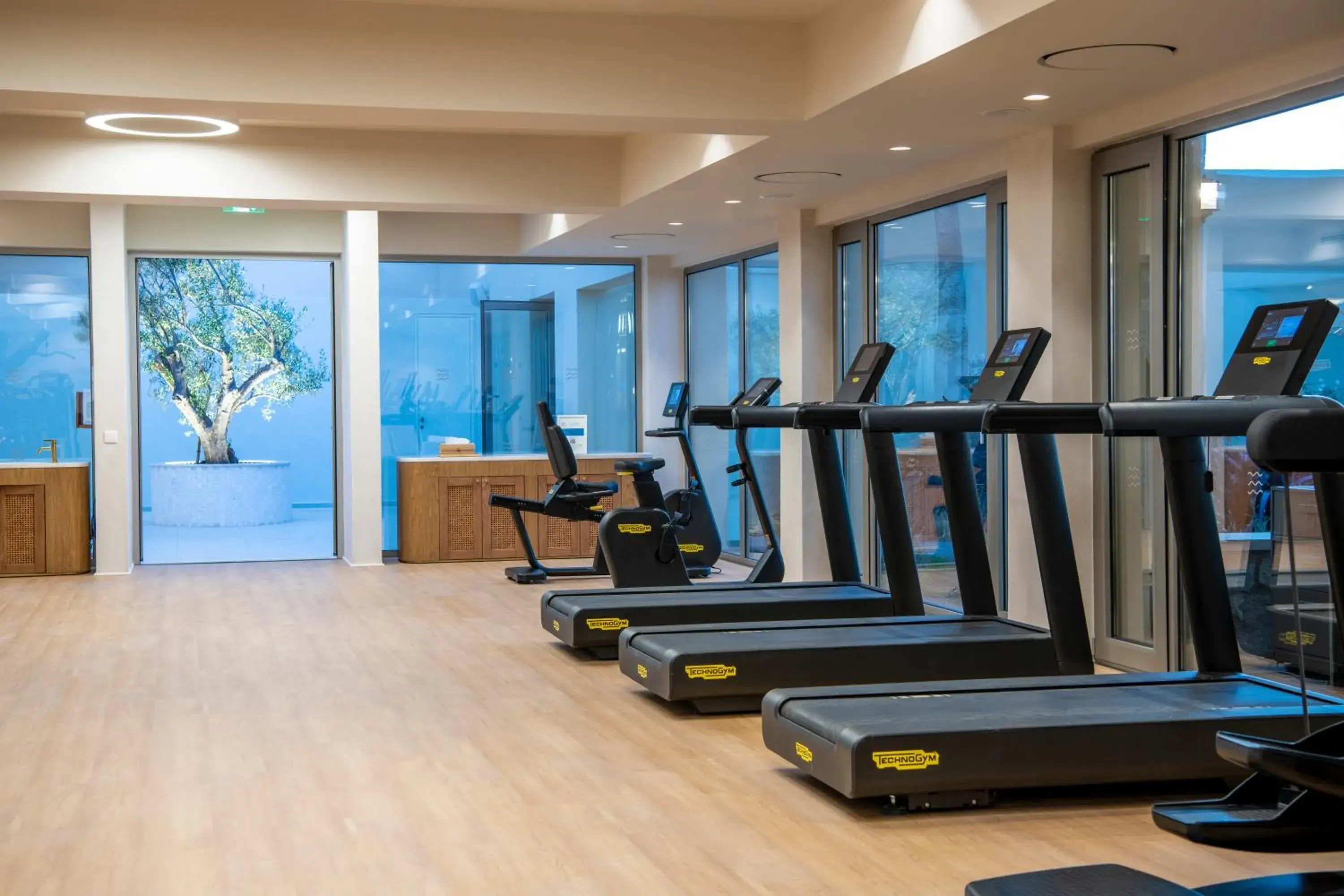 Spa and wellness centre/facilities in Aquila Rithymna Beach Spa and wellness centre/facilities in Aquila Rithymna Beach